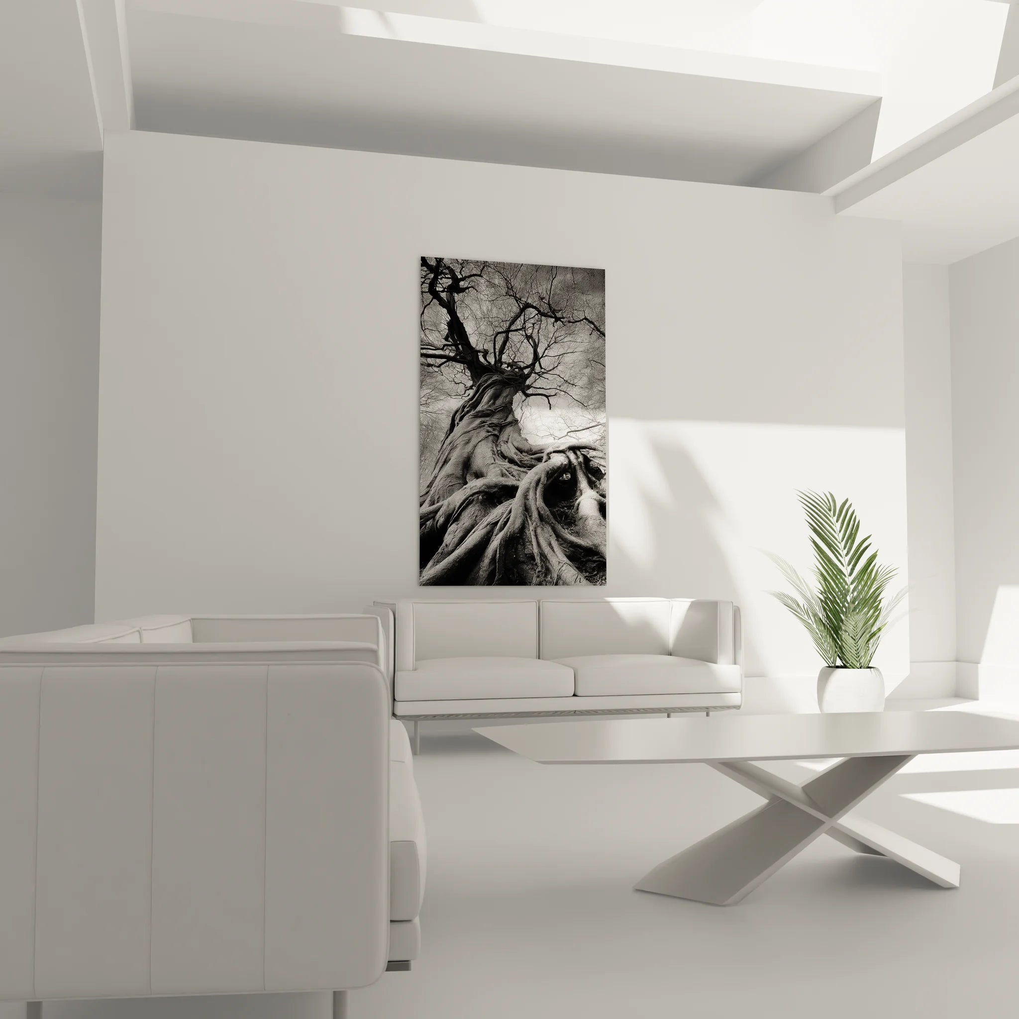 Gros plan sur racines tortueuses d'arbre ancien en photographie noir et blanc artistique