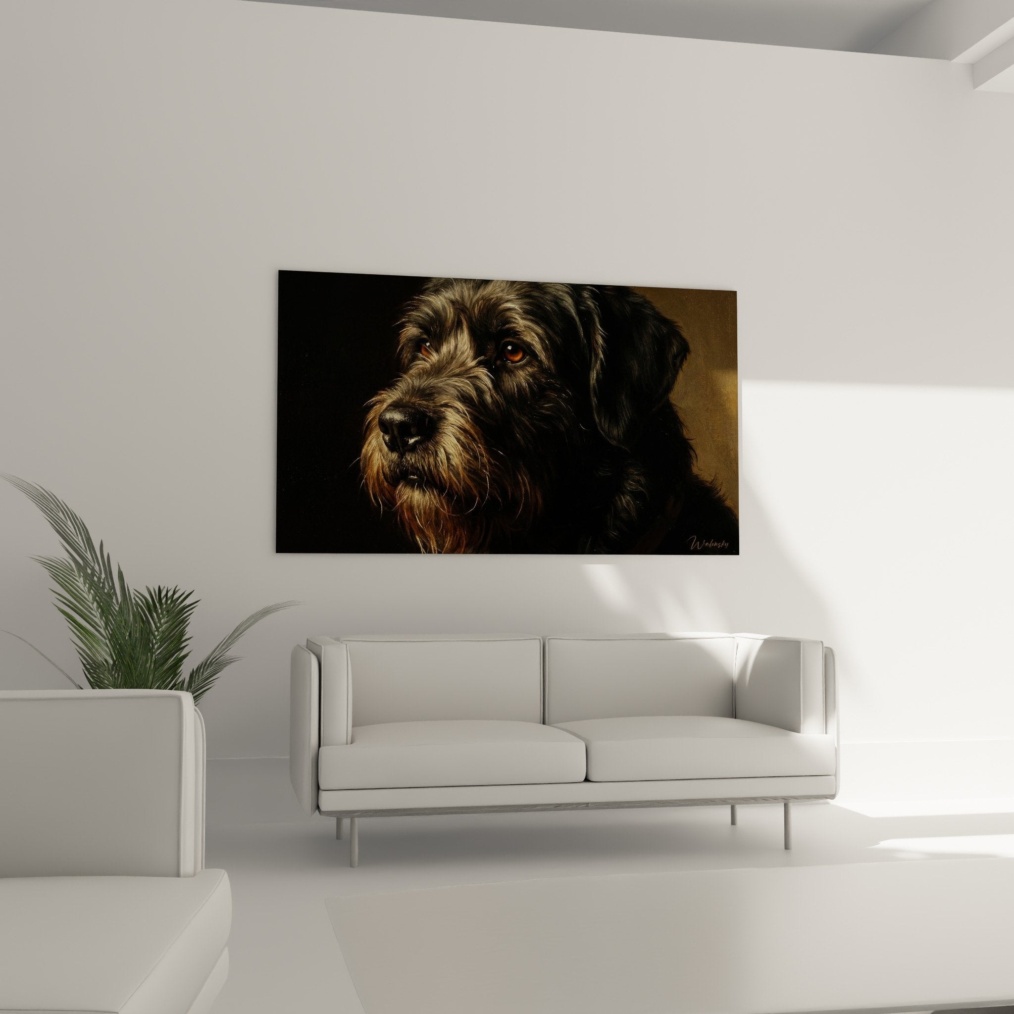 Détail gros plan regard ambré bouvier des flandres texture pelage reflets dorés expression douce