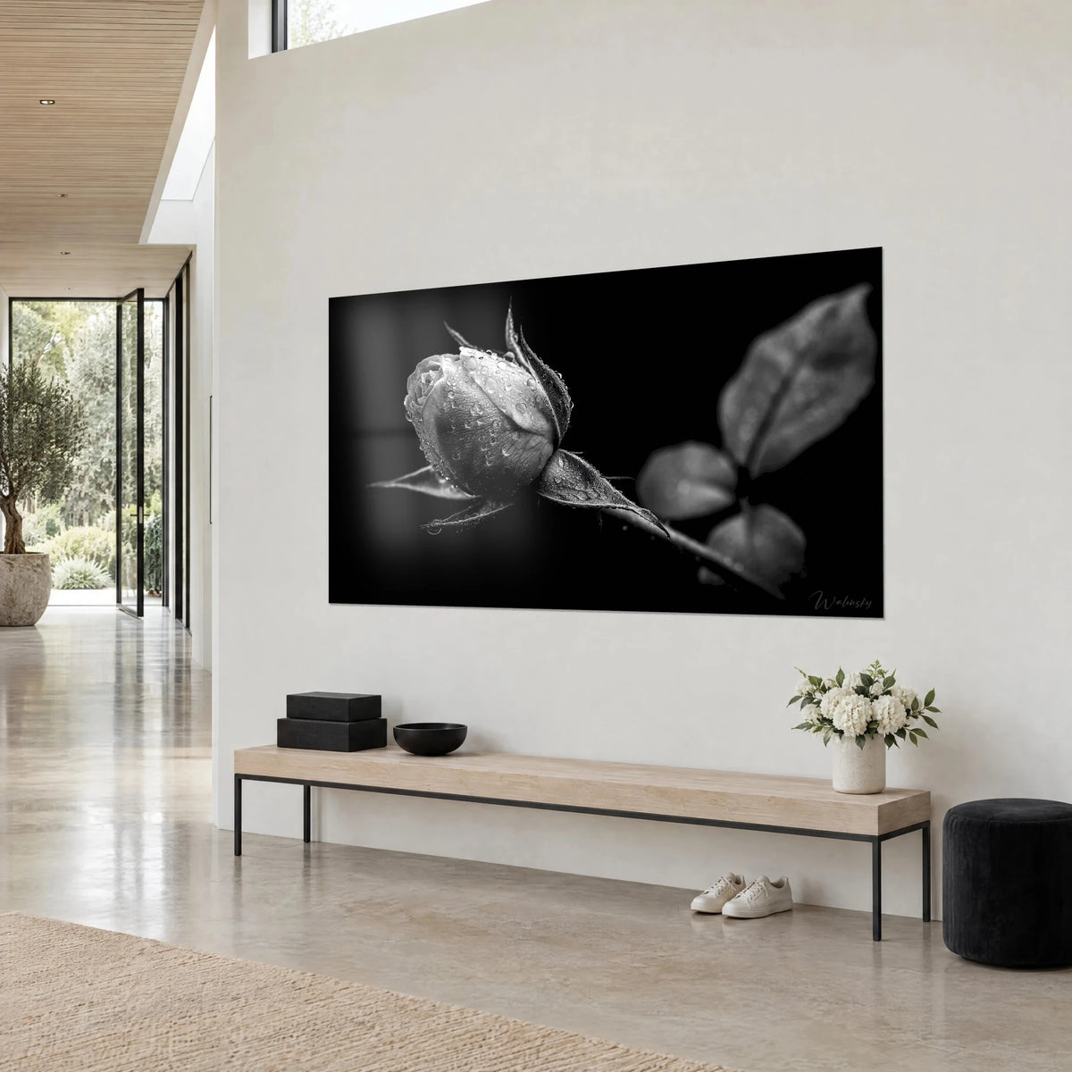 Tableau rosebud monochrome aux gouttelettes brillantes, feuilles floues grises sur fond noir profond, vue de trois-quarts sur un mur crème