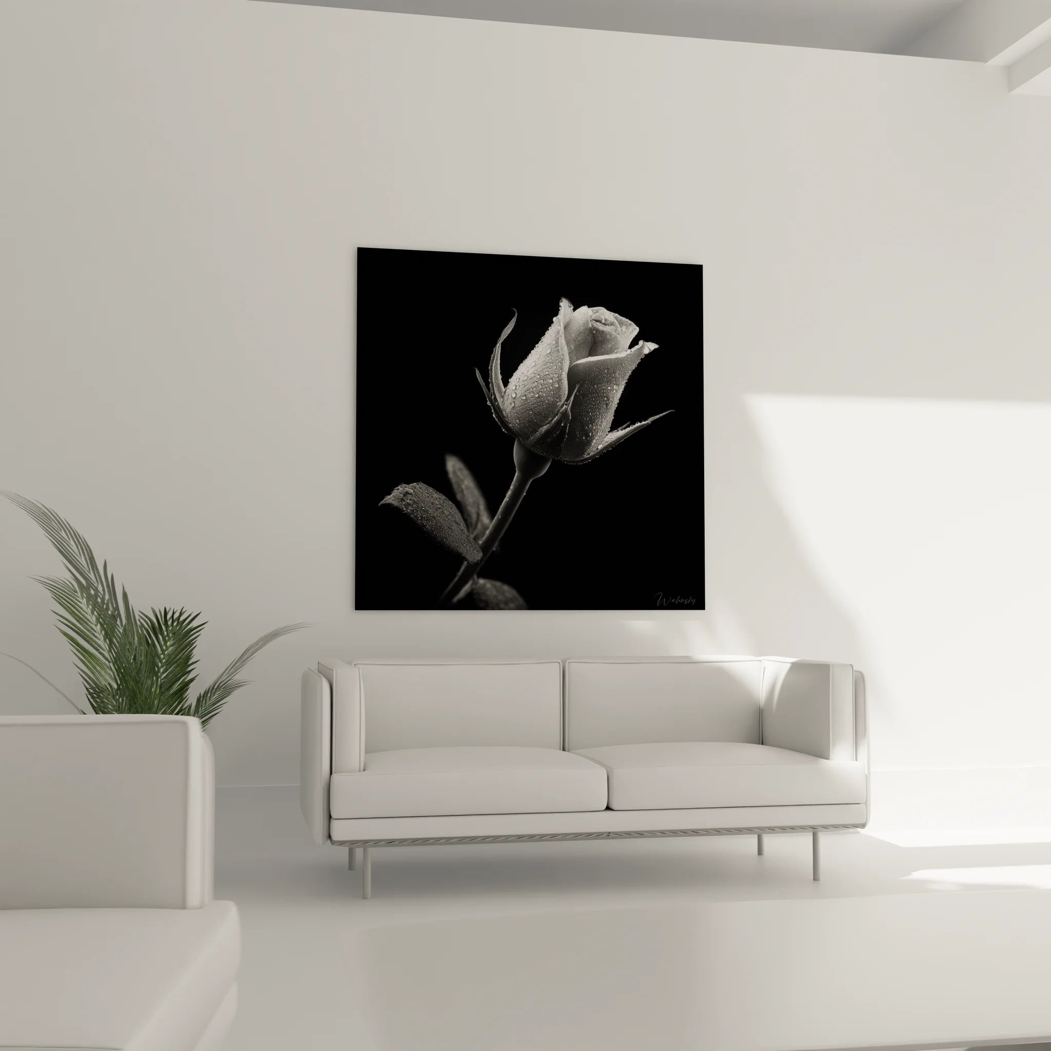 Gros plan rose monochrome avec détails pétales et gouttelettes, art photographique haute définition