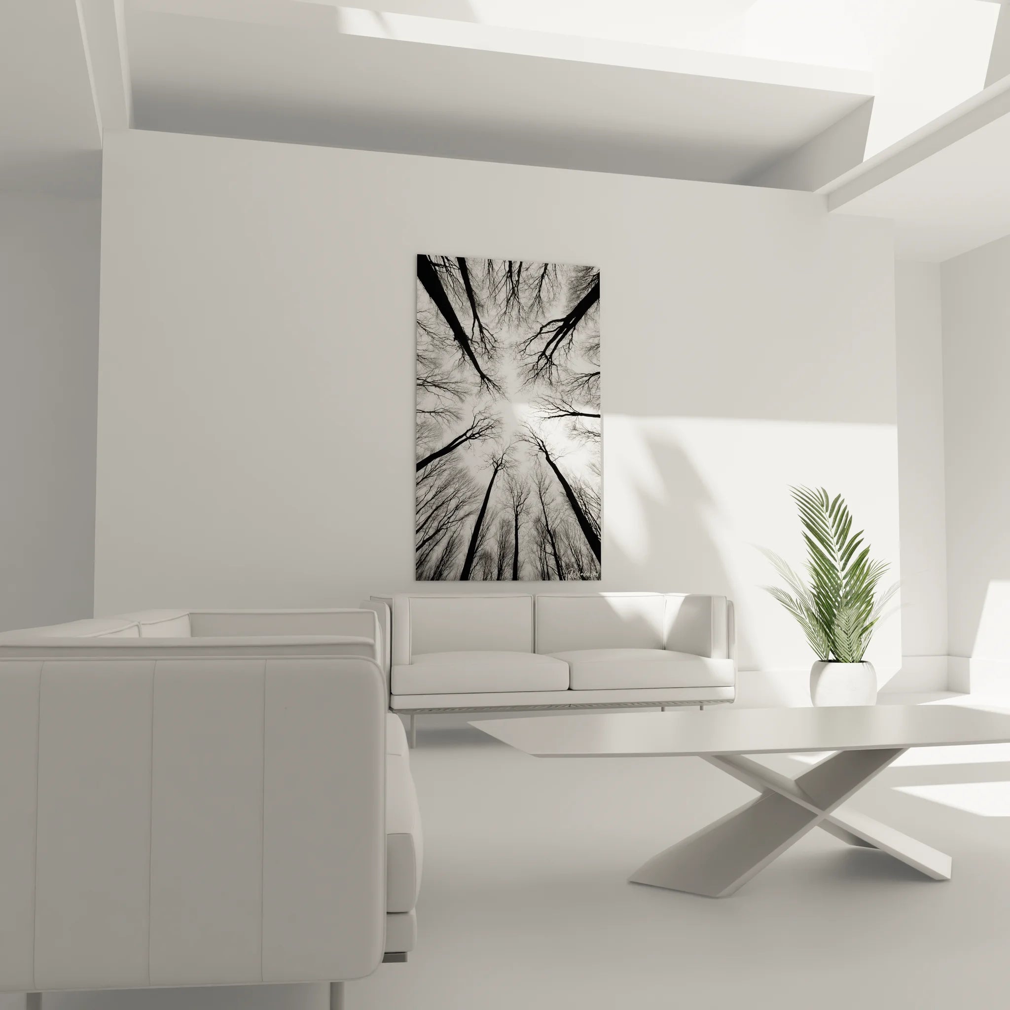 Gros plan tableau forêt noir blanc détails branches entrelacées photographie artistique