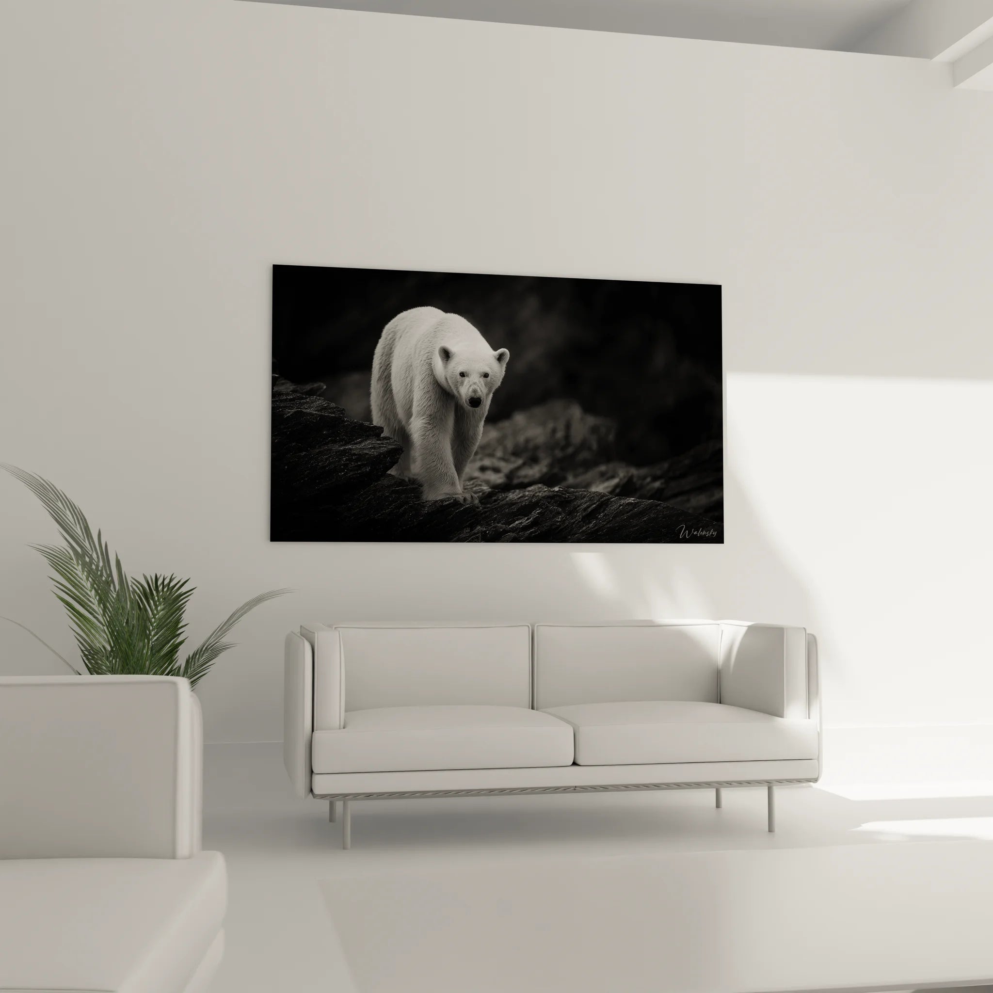 Gros plan tableau ours polaire - Détails photographie artistique noir et blanc faune arctique