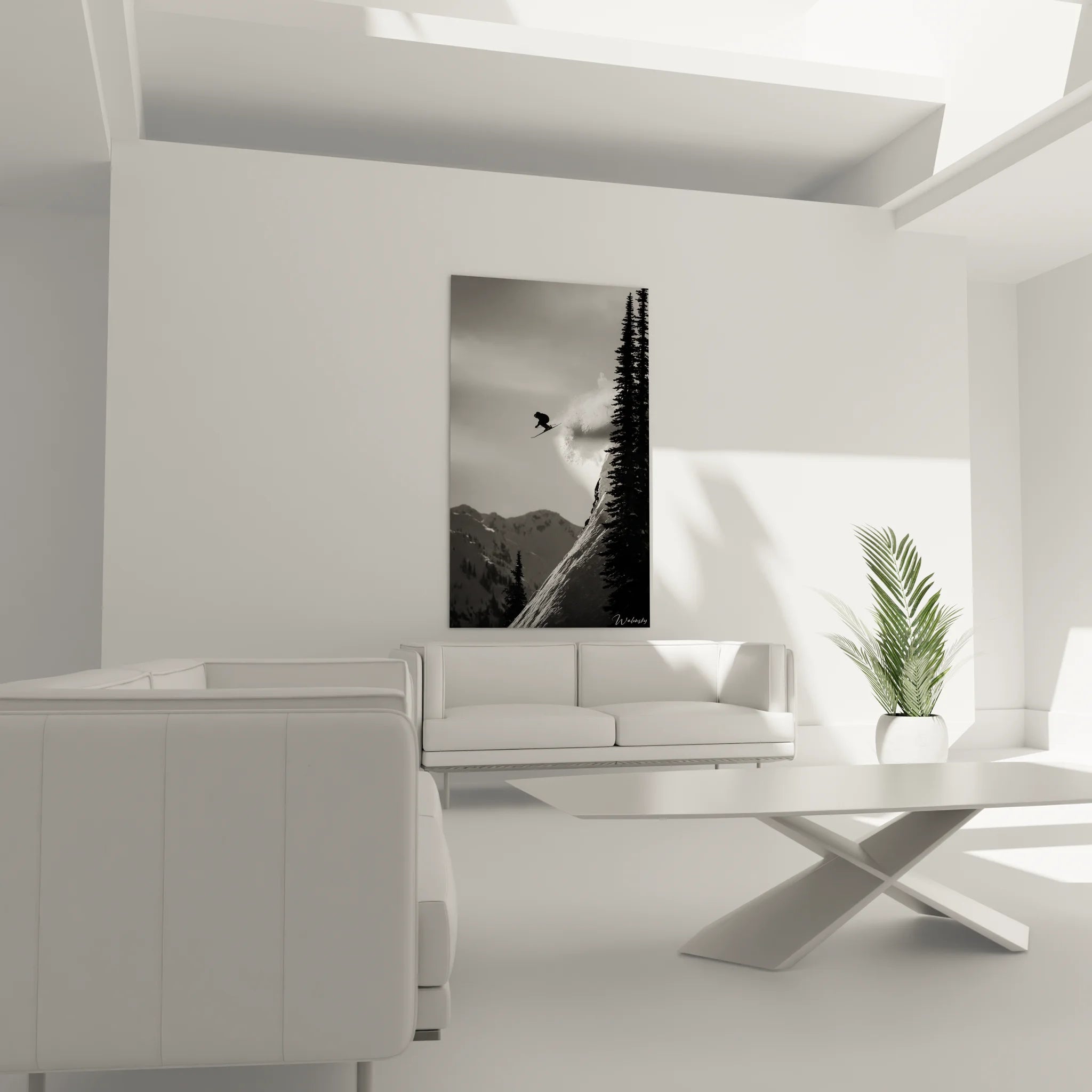 Gros plan tableau skieur action saut freestyle art noir blanc détail poudreuse montagne sport
