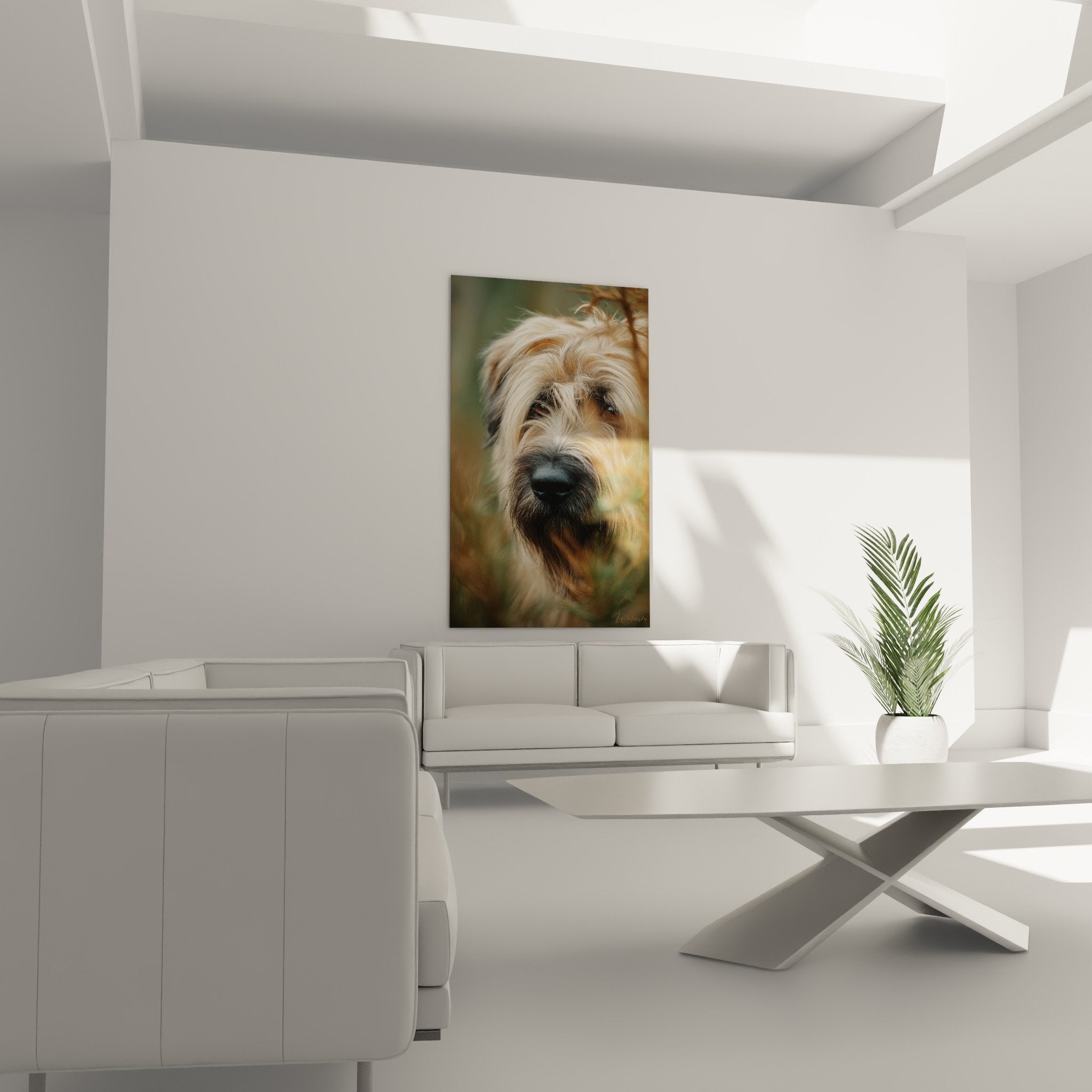 Close-up of the expressive eyes and black nose of the Briard with silky coat in golden tones