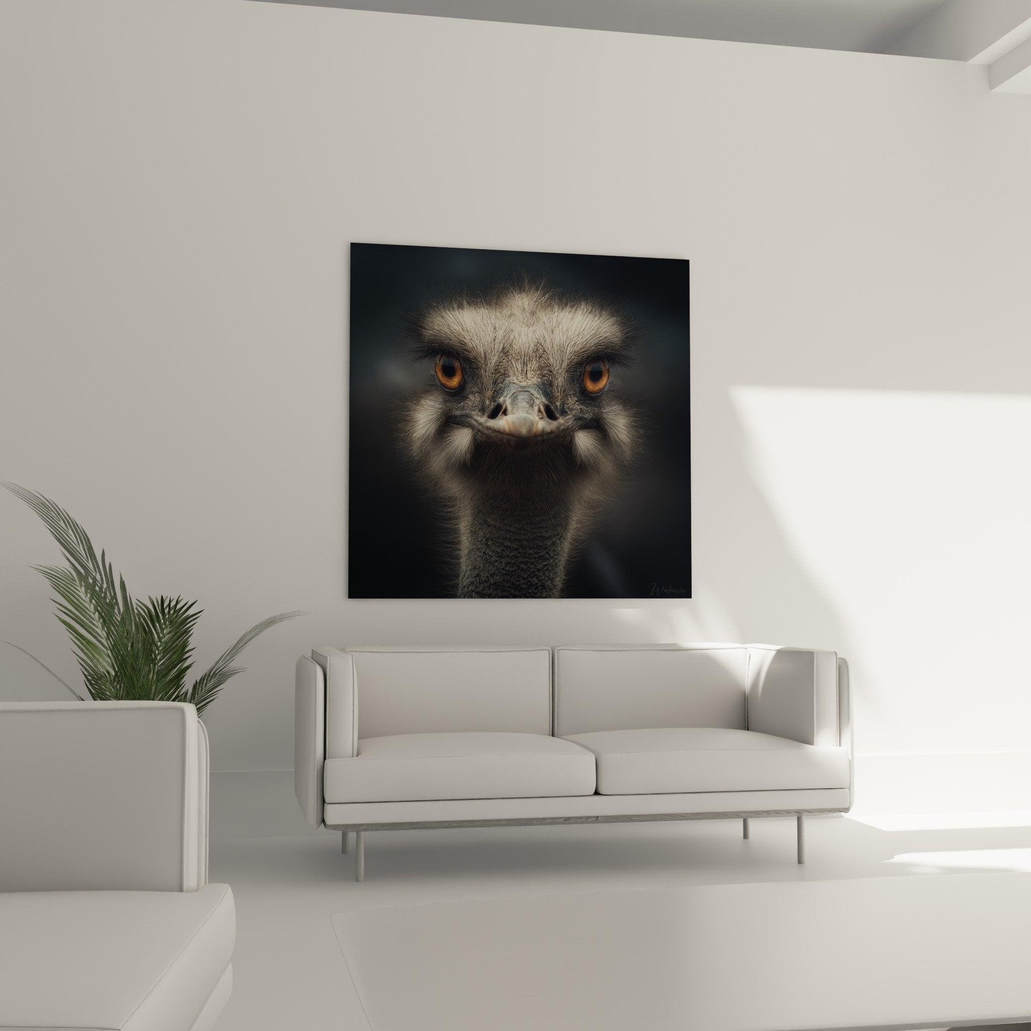 Gros plan yeux dores autruche plumage gris detail texture plumes art animalier contemporain mural
