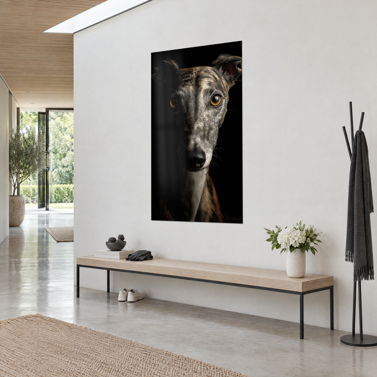 Πίνακας λεπτό μουσούδι γκρι και καφέ whippet, γυαλιστερή μαύρη μύτη, πορτοκαλί βλέμμα, κρεμασμένος στον λευκό τοίχο ενός διαδρόμου σε τρία τέταρτα