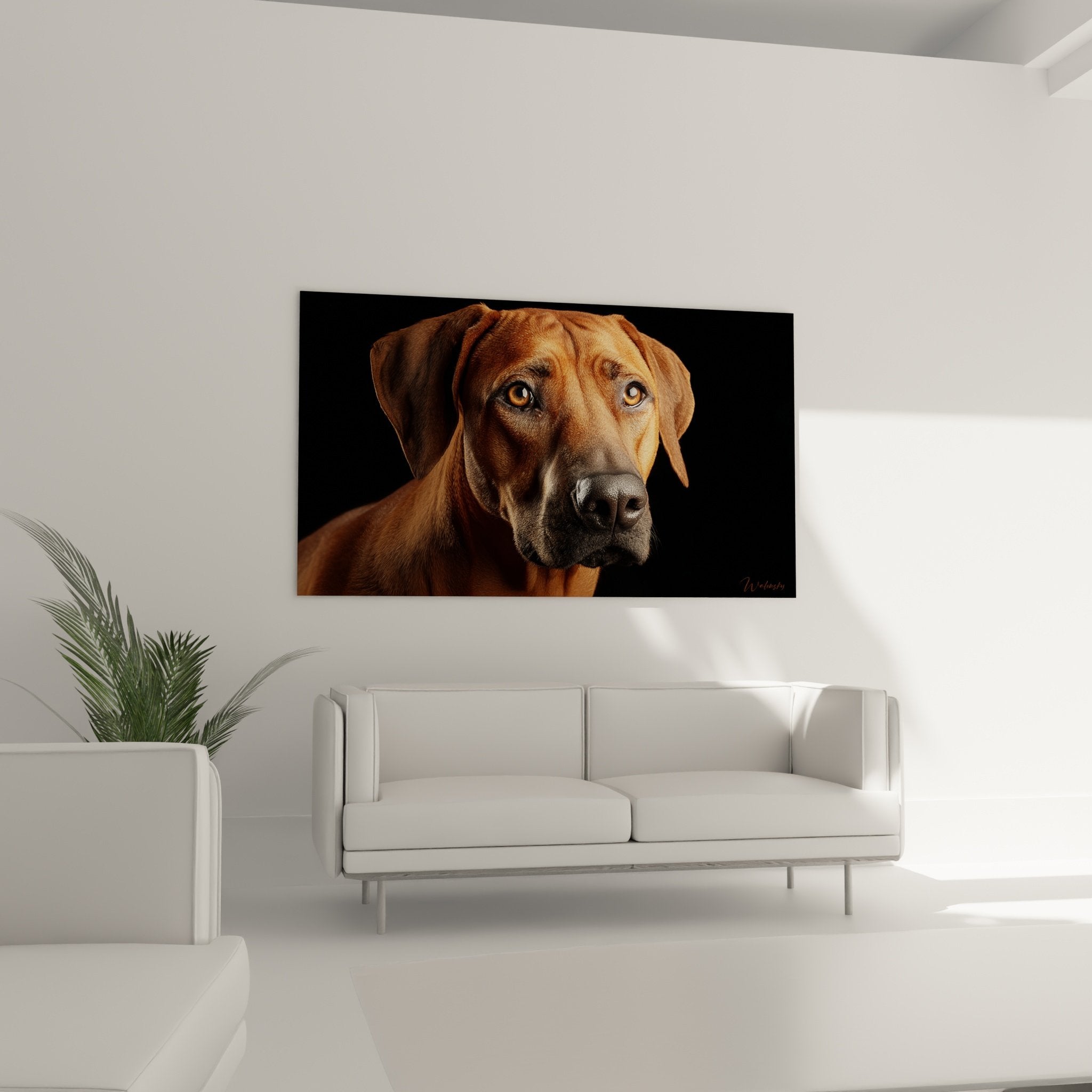 Détail gros plan yeux couleur miel et museau Rhodesian Ridgeback, expression mélancolique et regard intense