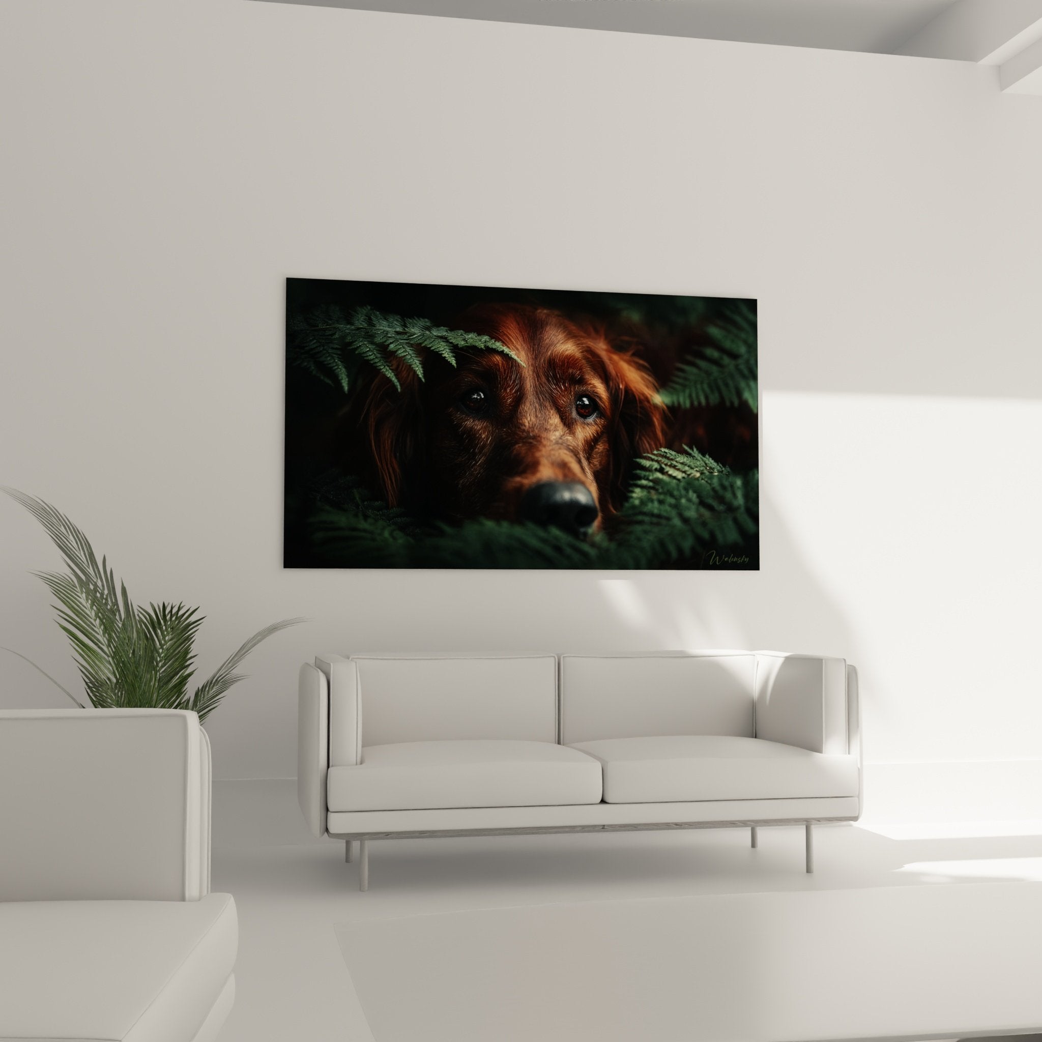 Gros plan regard expressif Setter Irlandais yeux profonds pelage cuivré détails artistiques portrait canin émotion