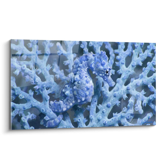 Majestic Blue Seahorse in Azure Corals Wall Art - Royal Marine Creature - Seahorse Edition