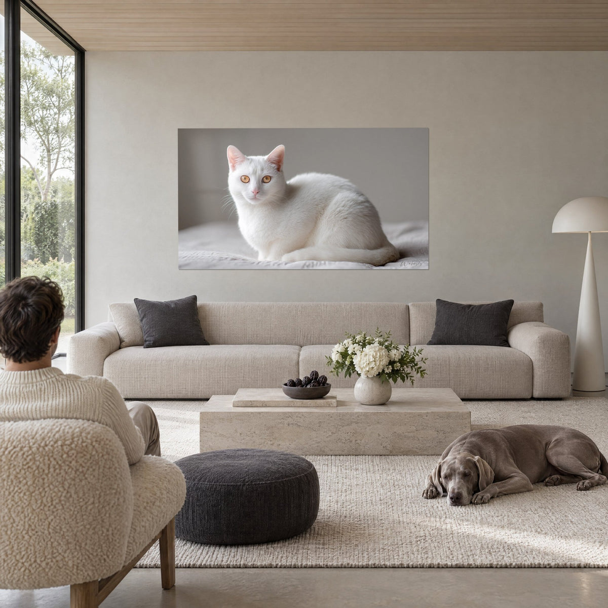 Tableau chaton blanc aux iris ambrés, assis sur un drap gris perle, au-dessus d'un canapé dans un salon lumineux