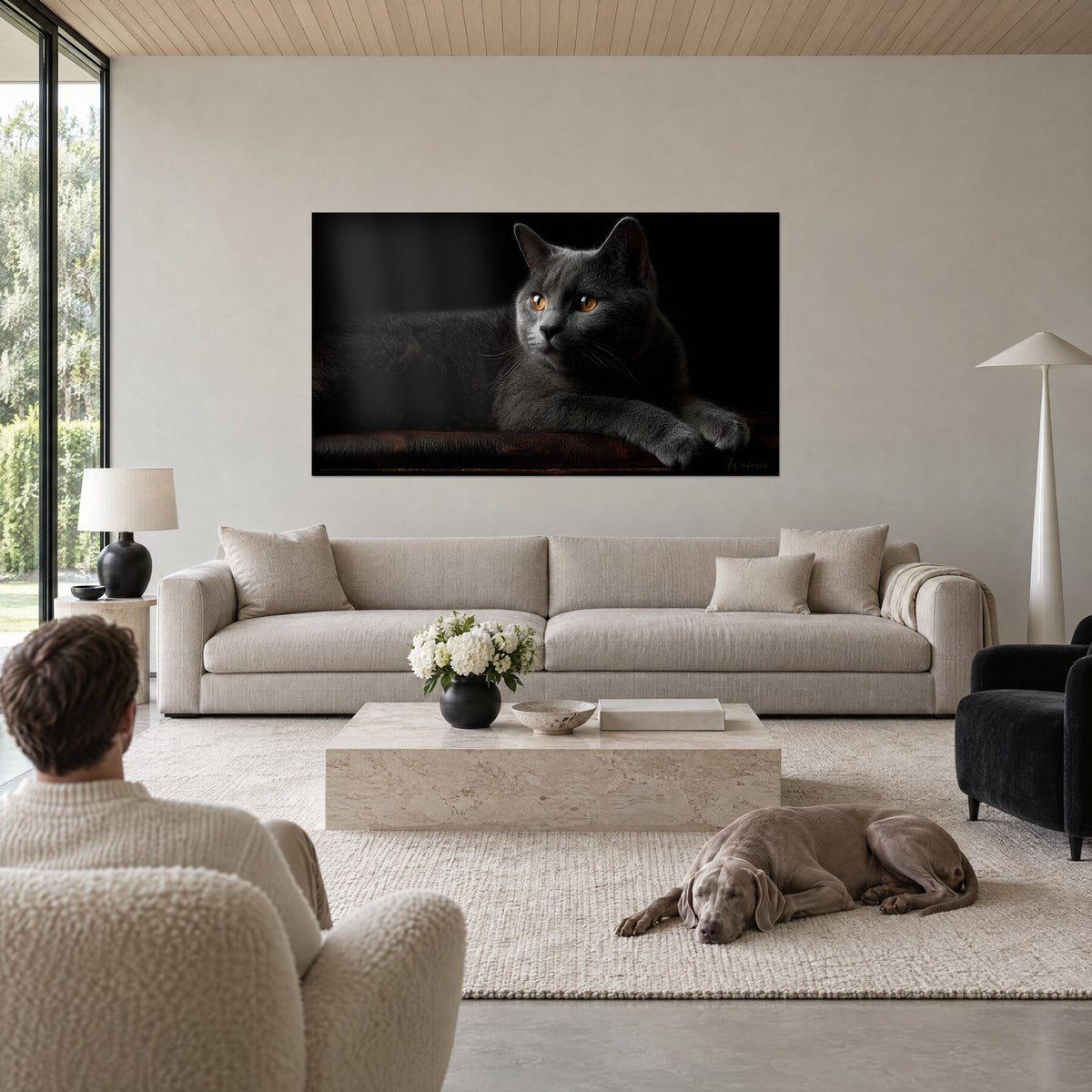 Wall art Chartreux cat with slate-grey coat and amber eyes, lying on brown leather above a sofa in a bright living room