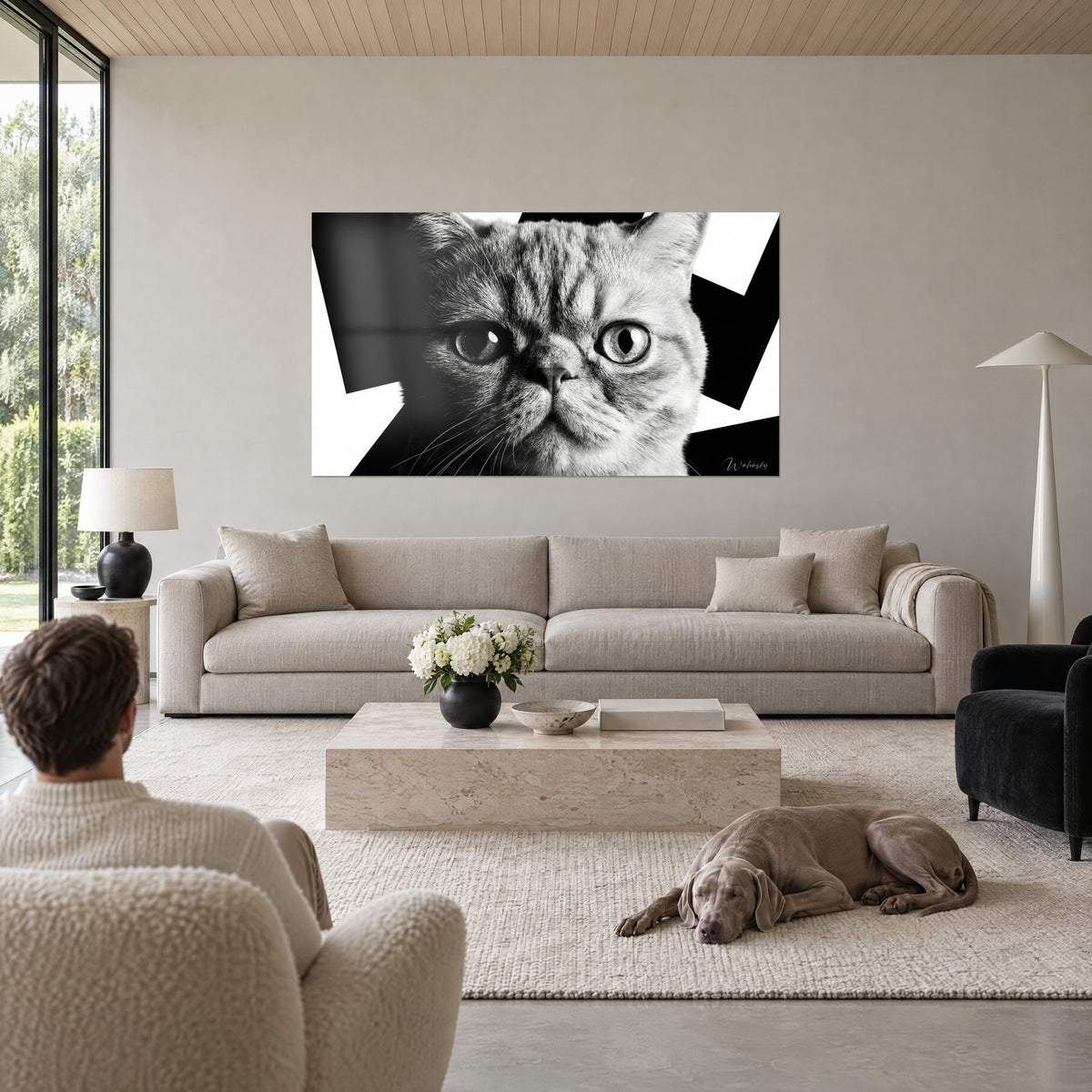 Πίνακας γάτα Exotic Shorthair με διεισδυτικό βλέμμα, γκρι και λευκό ριγέ τρίχωμα σε μαύρο φόντο, πάνω από καναπέ σε φωτεινό σαλόνι