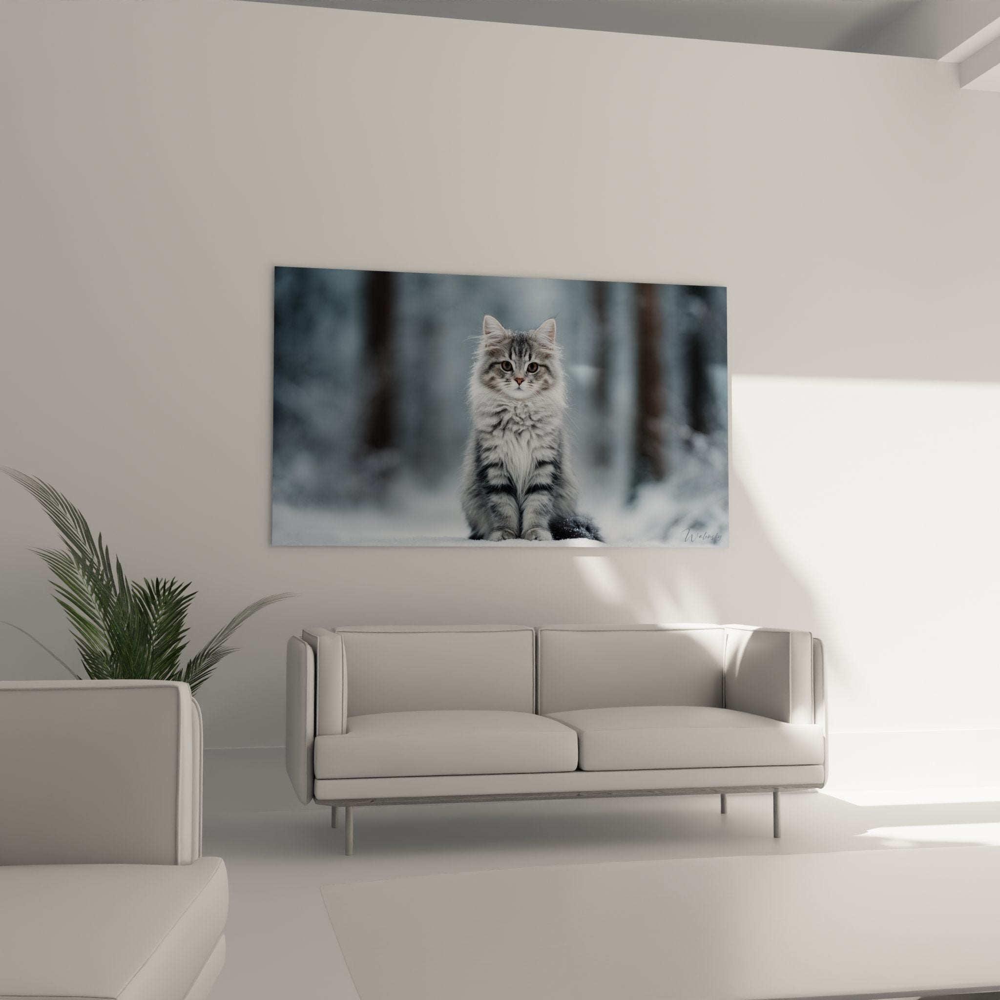 Gros plan sur tableau chaton sibérien montrant détails du pelage gris et blanc et regards dorés