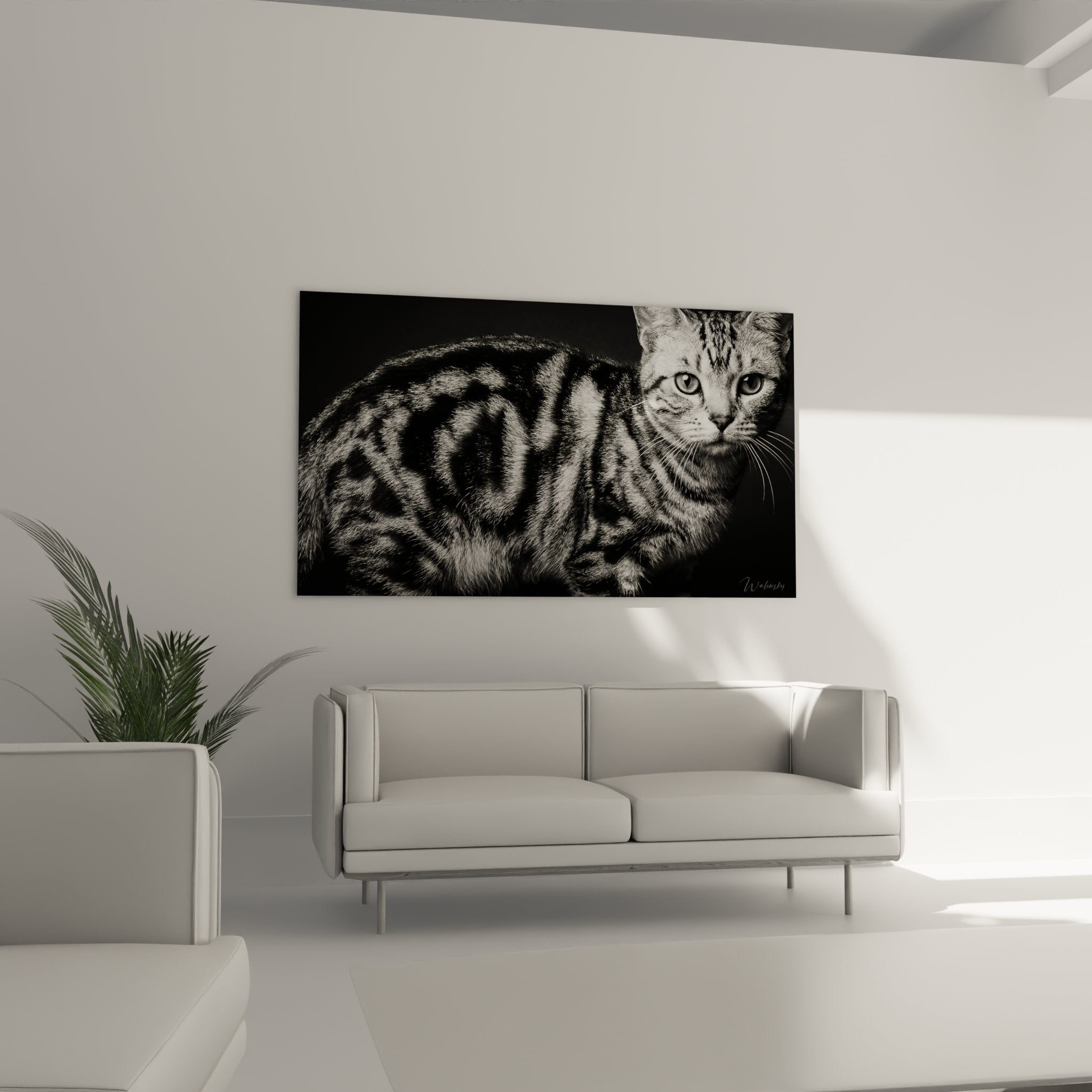 Gros plan tableau chat American Shorthair tigré détails pelage et yeux perçants noir et blanc