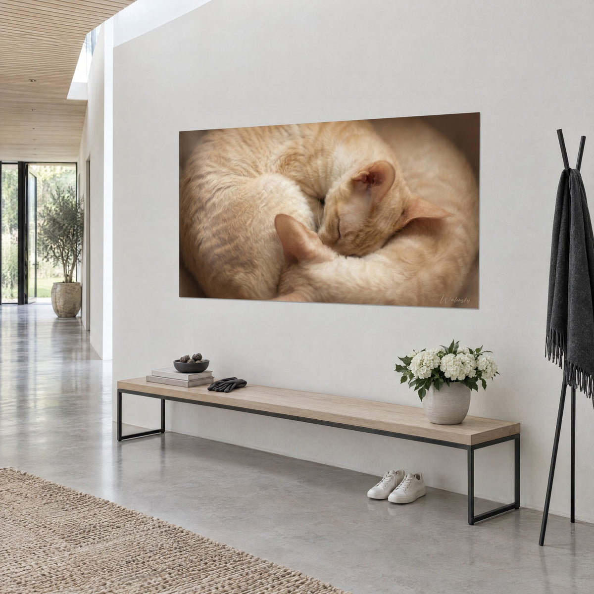 Wall art sleeping kitten with wavy fur, beige and honey tones, seen from the side above a bench in the entryway