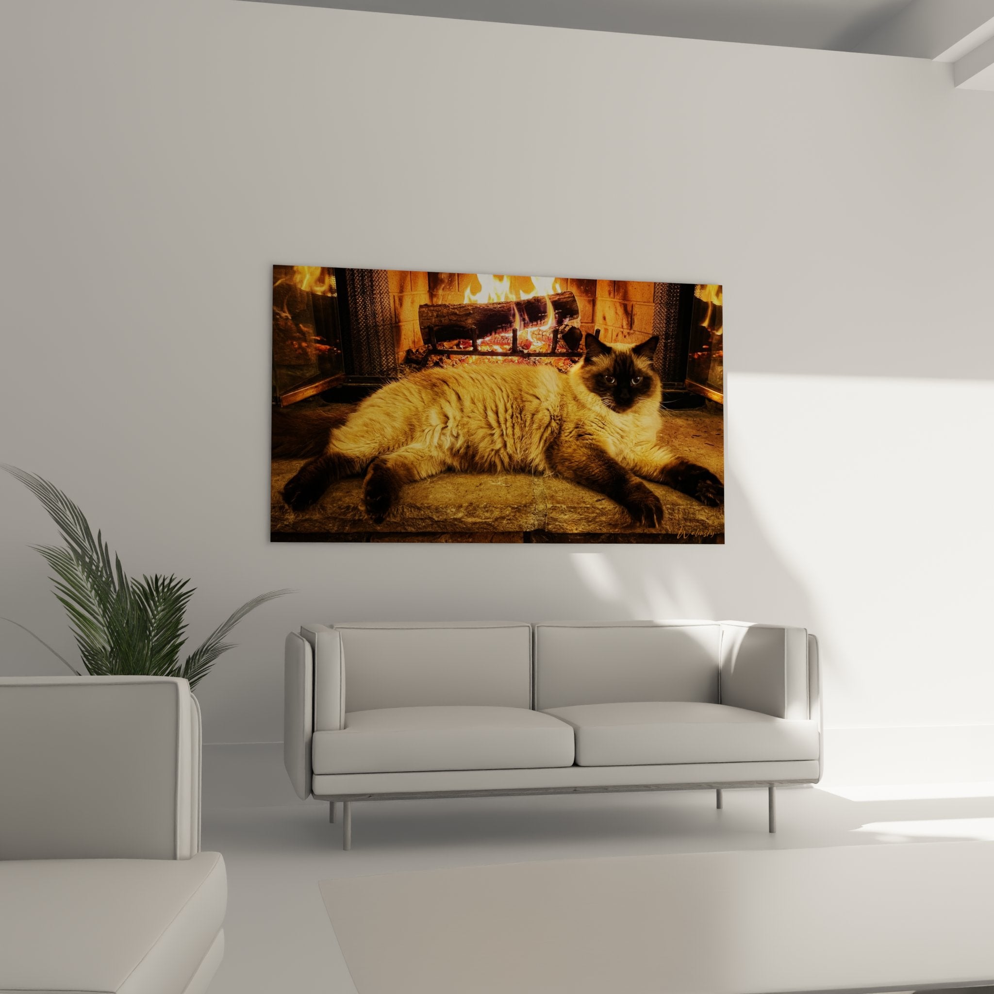 Gros plan sur chat Himalayan colorpoint avec fourrure crème et yeux bleus perçants près du feu de cheminée