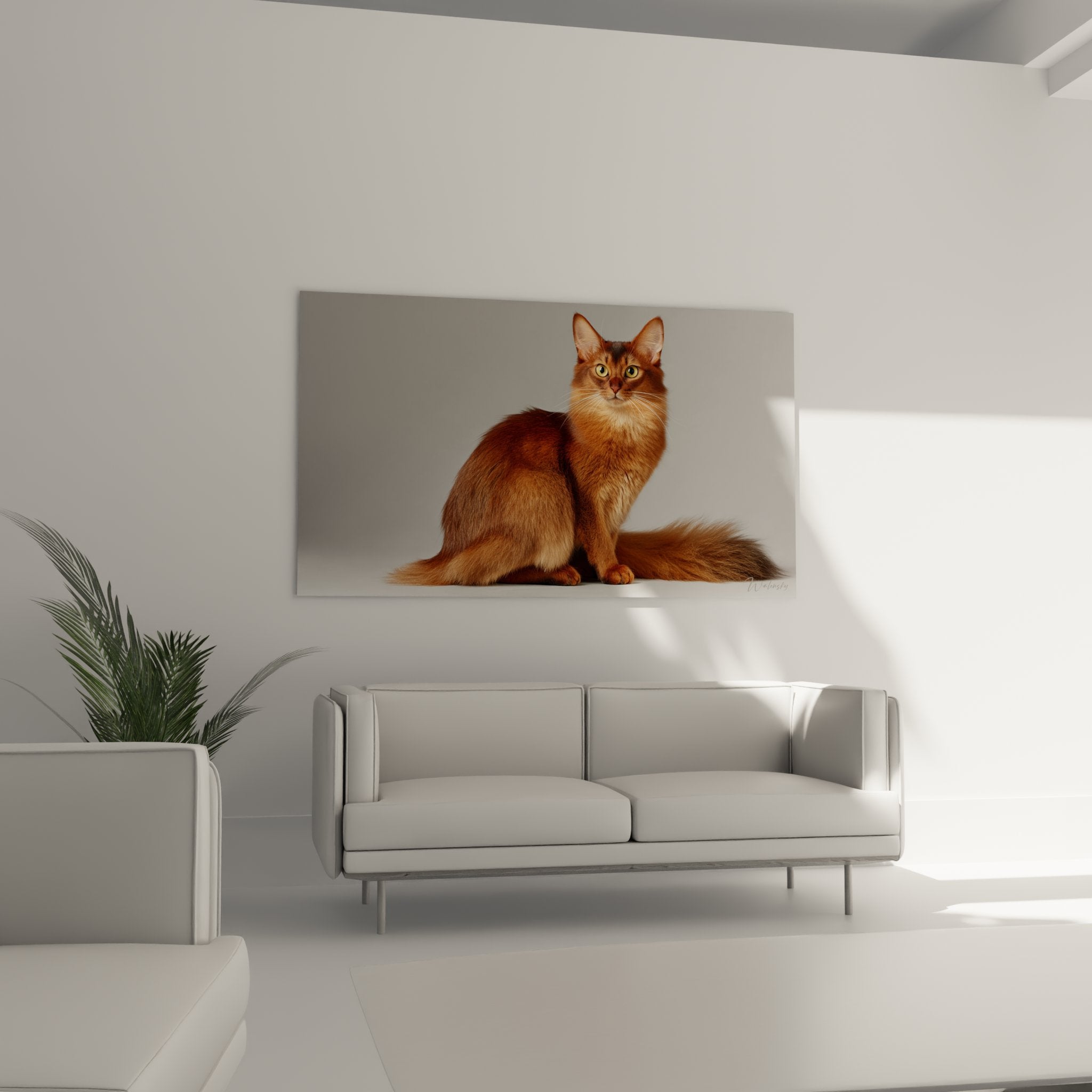 Gros plan portrait chat Somali pelage cuivré yeux dorés expression intense et captivante