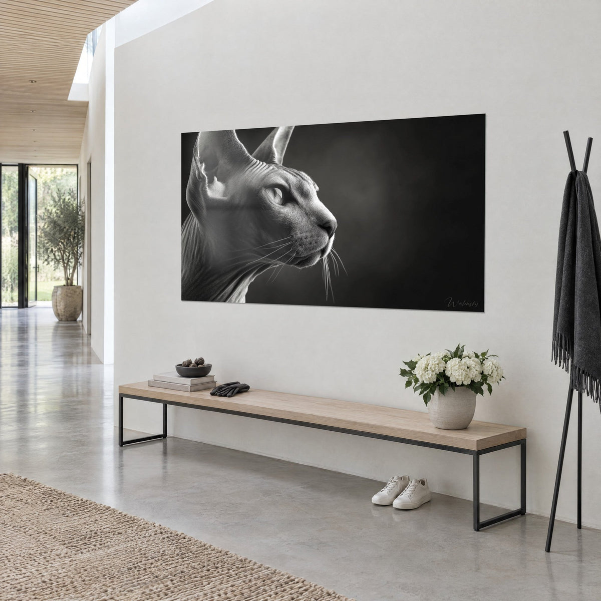 Tableau félin nu au profil fier, peau plissée gris argent sur fond noir charbon, mur blanc, banc en bois et orchidées