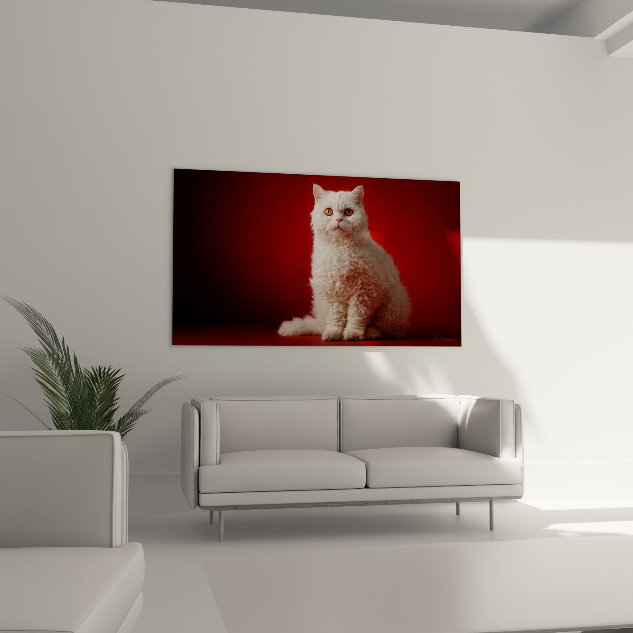 Gros plan tableau chat Selkirk Rex montrant details pelage boucle blanc et yeux ambre expressifs