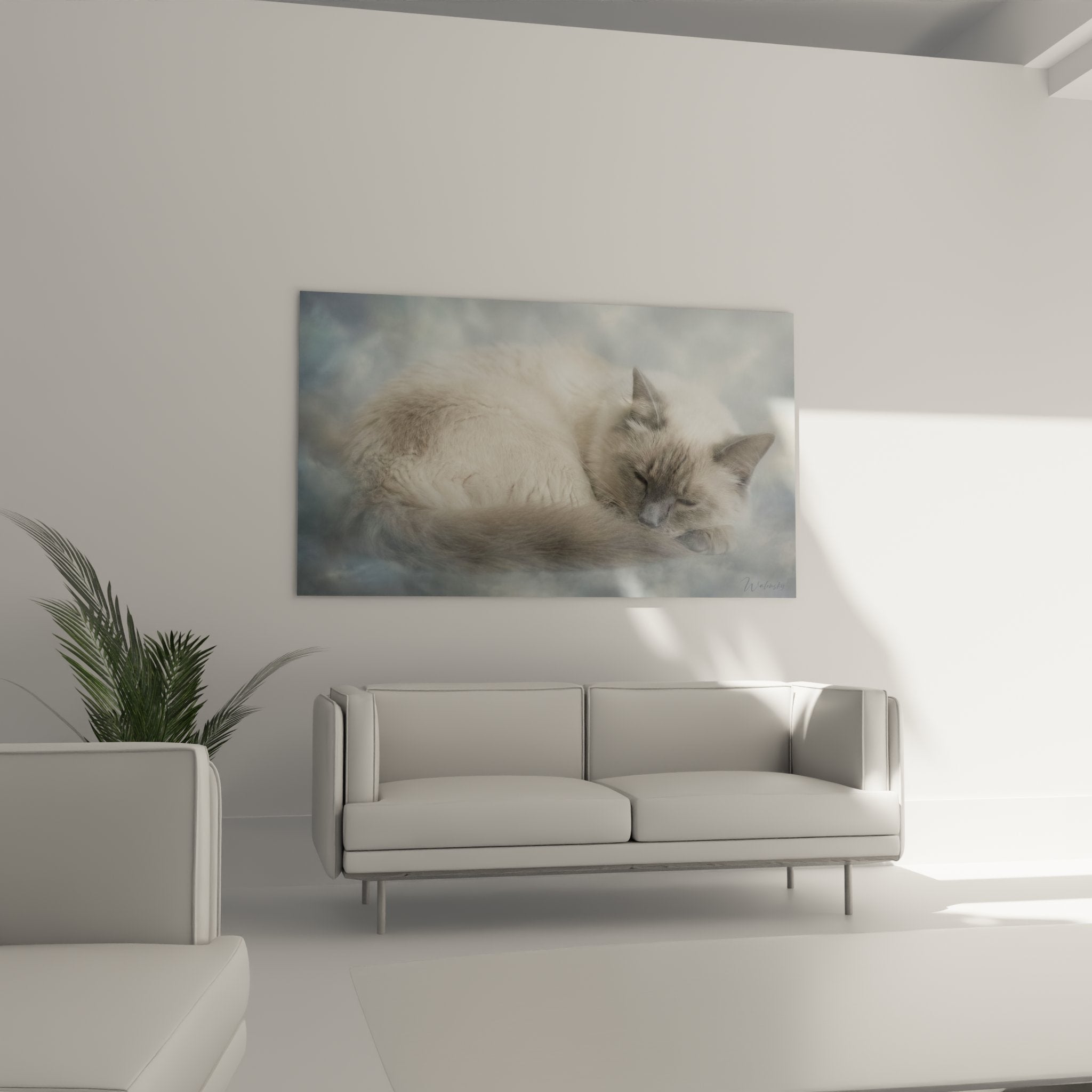 Gros plan tableau chat Balinais dormant paisiblement, détails pelage soyeux et expression sereine