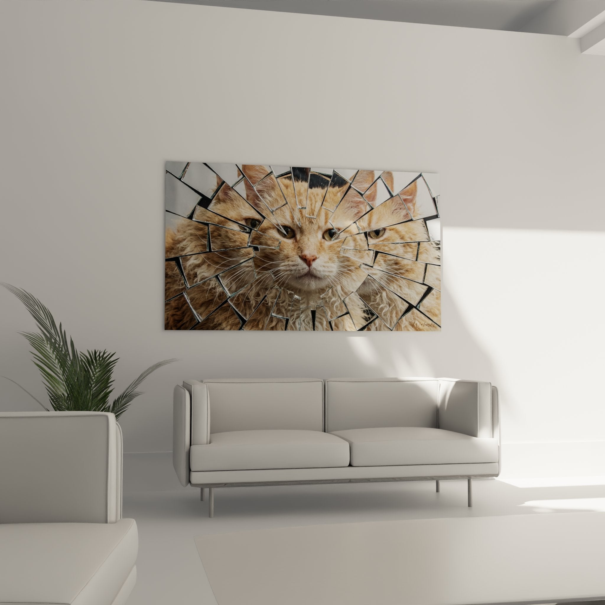 Primo piano dei dettagli del mantello riccio del gatto Laperm attraverso i frammenti di specchio rotto con riflessi