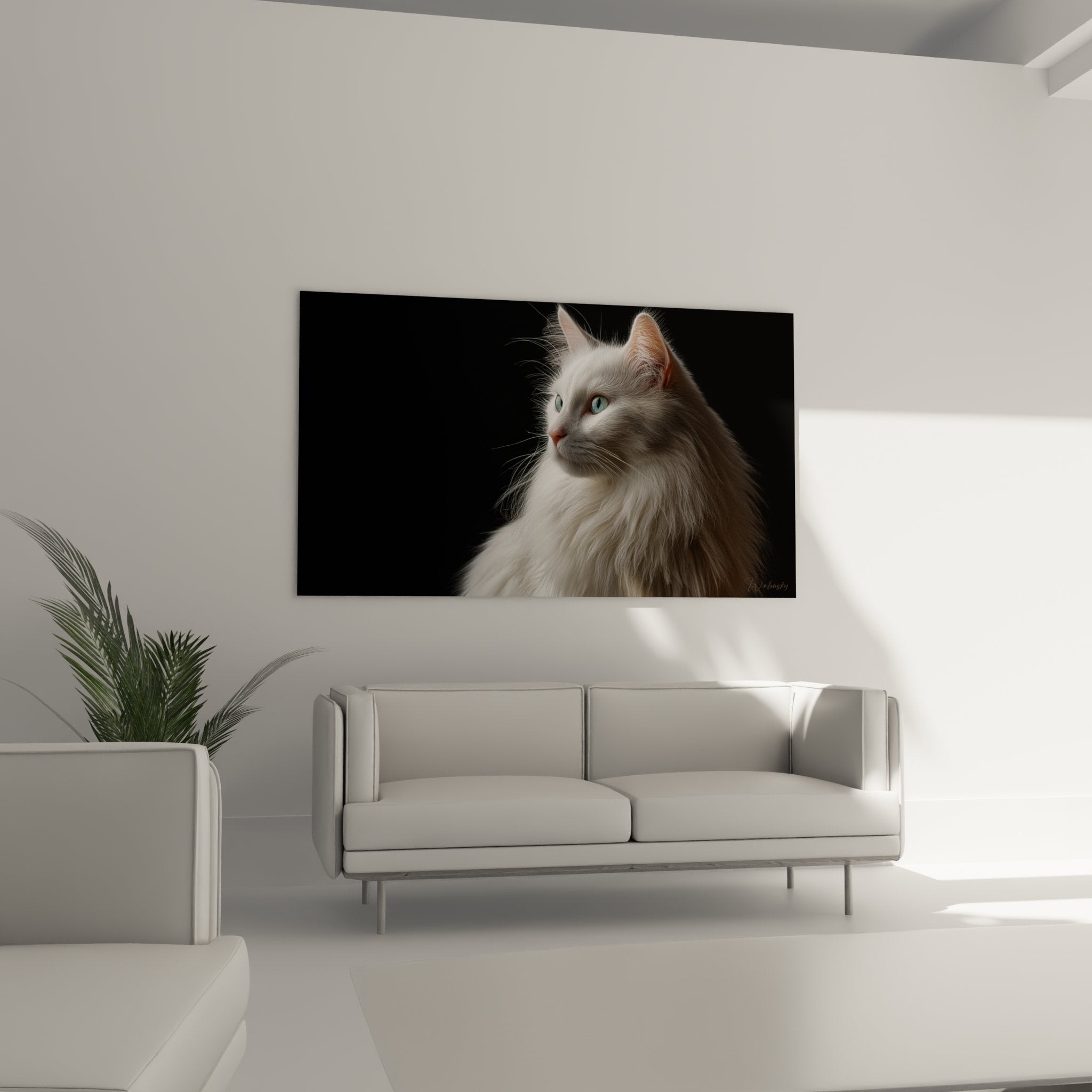 Nahaufnahme der seideigen Fell-Details und türkisblauen Augen der weißen Turkish Angora Katze