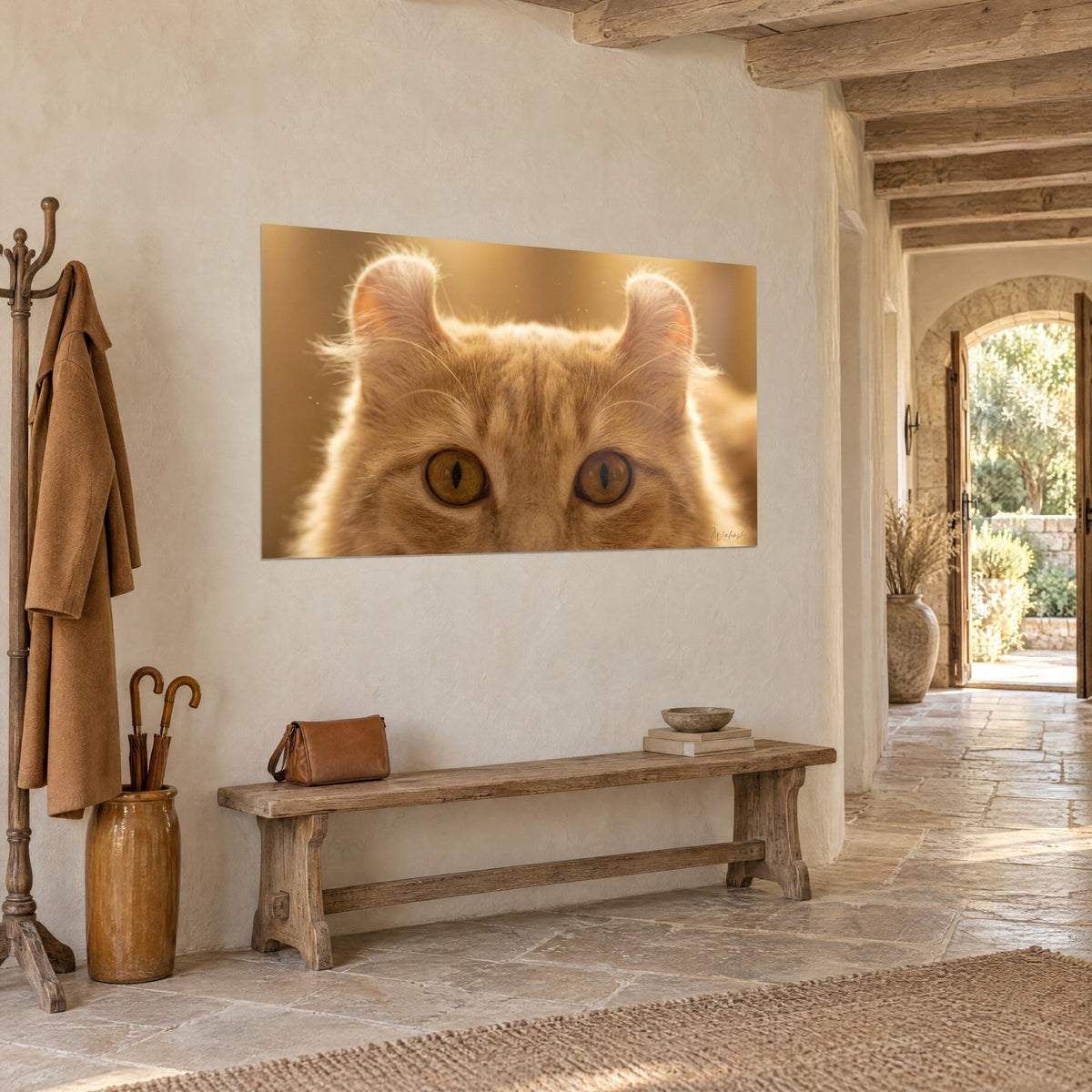 Wall art of an American Curl staring into the lens, golden irises and backlit orange fur, on a cream stone wall beside a wooden bench