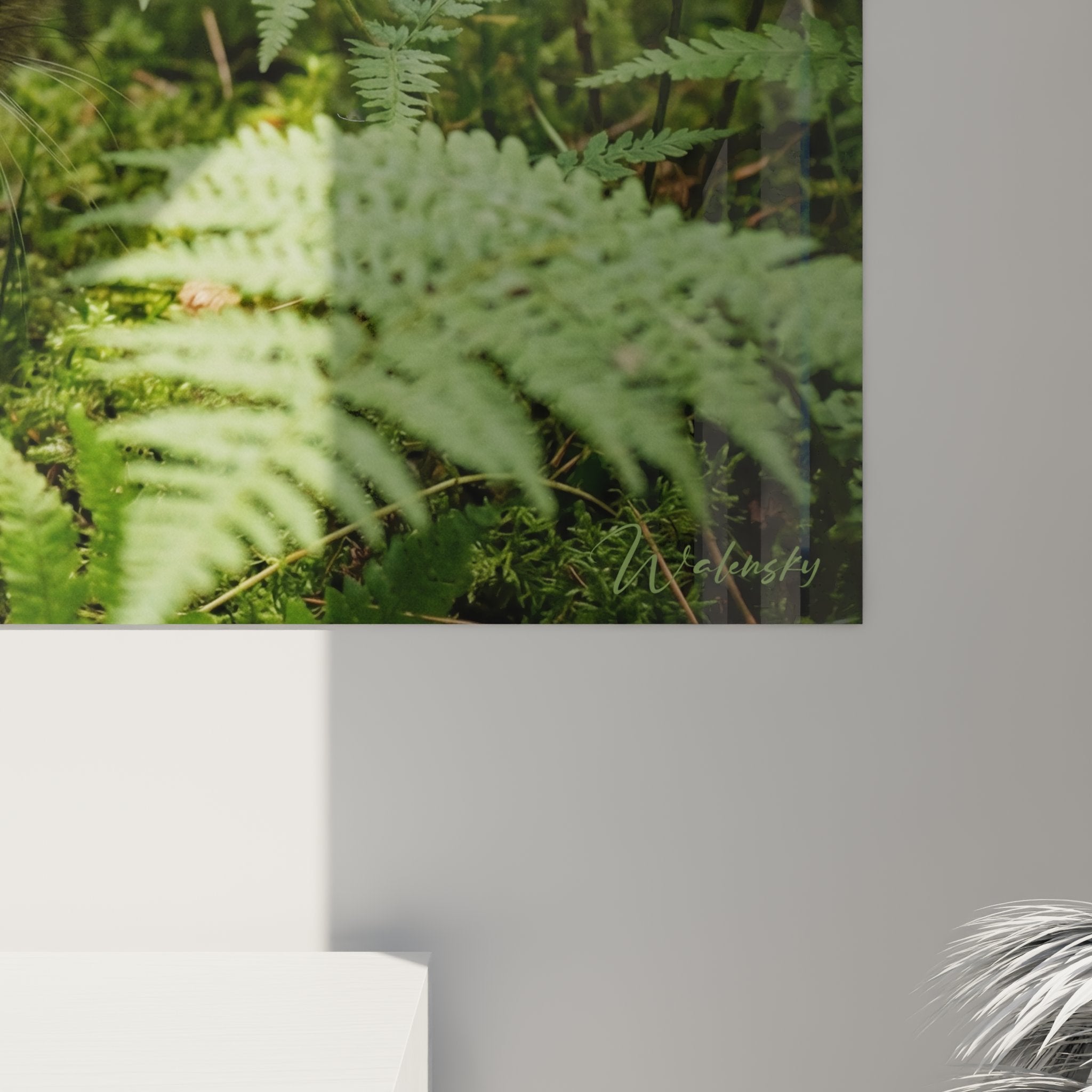 Vue ensemble tableau mural chat Norwegian Forest Cat foret fougeres decoration interieur naturel