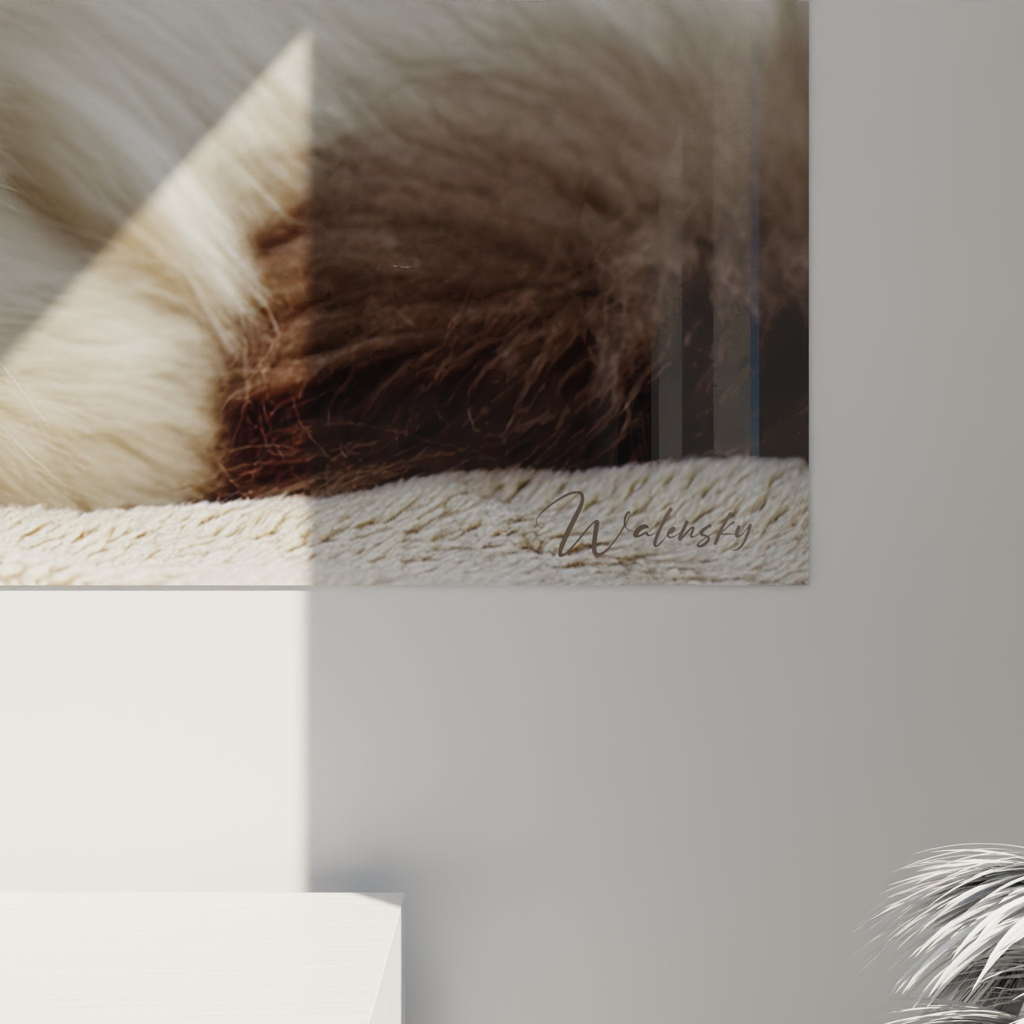 Panoramica quadro gatto Birmano, formato orizzontale, decorazione murale felina per soggiorno o camera da letto