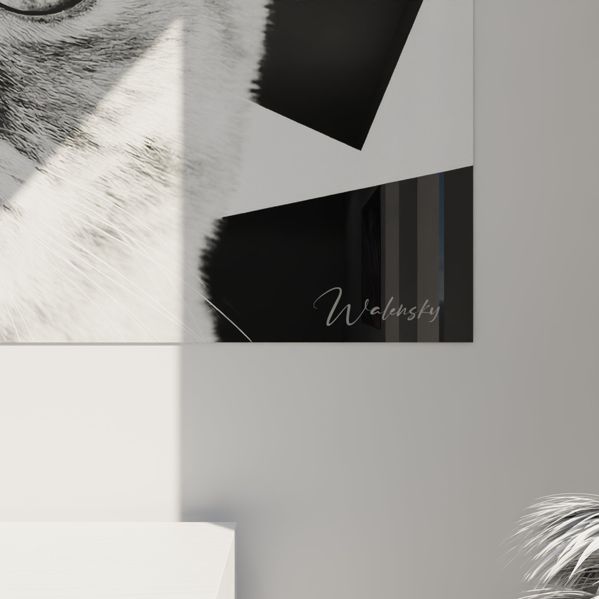 Gesamtansicht des Kunstdrucks schwarze und weiße Exotic-Shorthair-Katze moderne Wanddekoration Wohnzimmer zeitgenössische Tierkunst