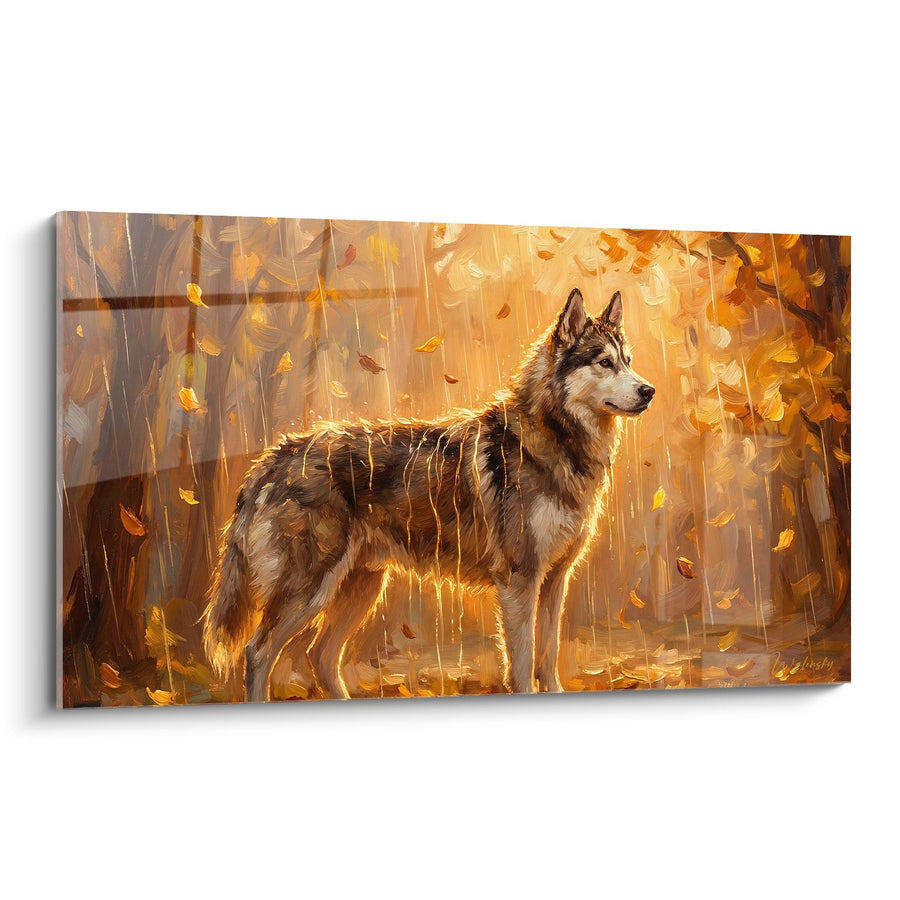Tableau Husky Sous la Pluie Dorée d'Automne - Lumière Dorée - Edition Husky Sibérien