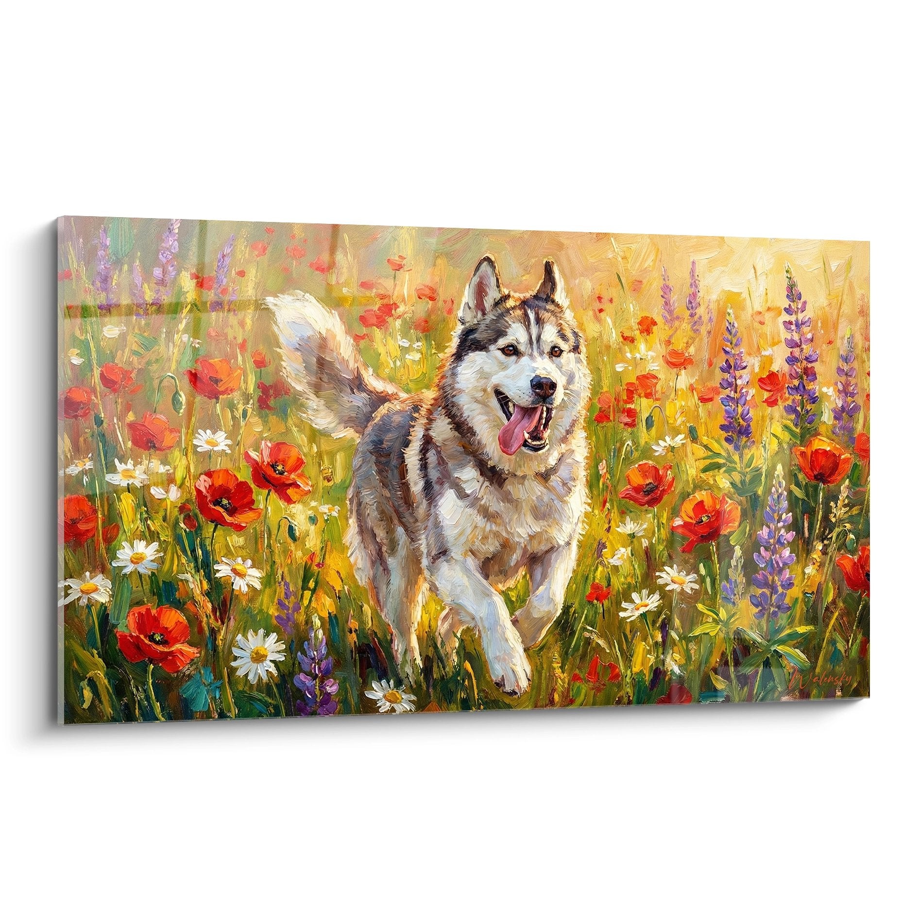 Husky sibérien courant dans prairie fleurie avec coquelicots rouges et lupins violets, peinture impressionniste colorée