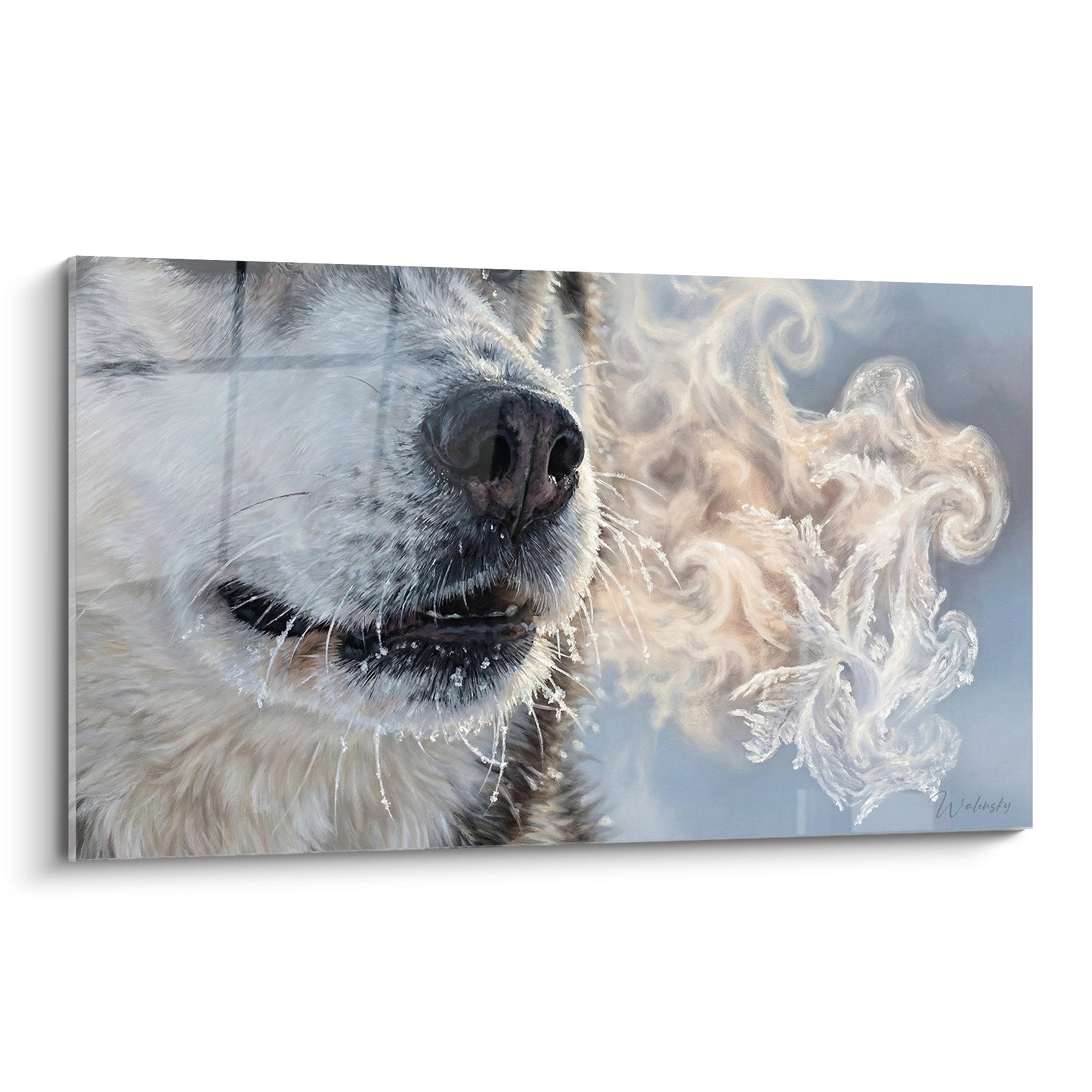 Portrait de Husky Sibérien aux yeux bleus avec souffle cristallisé dans l'air froid, tons gris et blanc