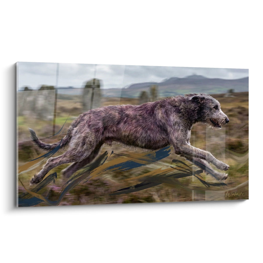Tableau Irish Wolfhound aux Reflets Pourpres Traversant la Lande Écossaise - Foulée Ancestrale - Edition Irish Wolfhound