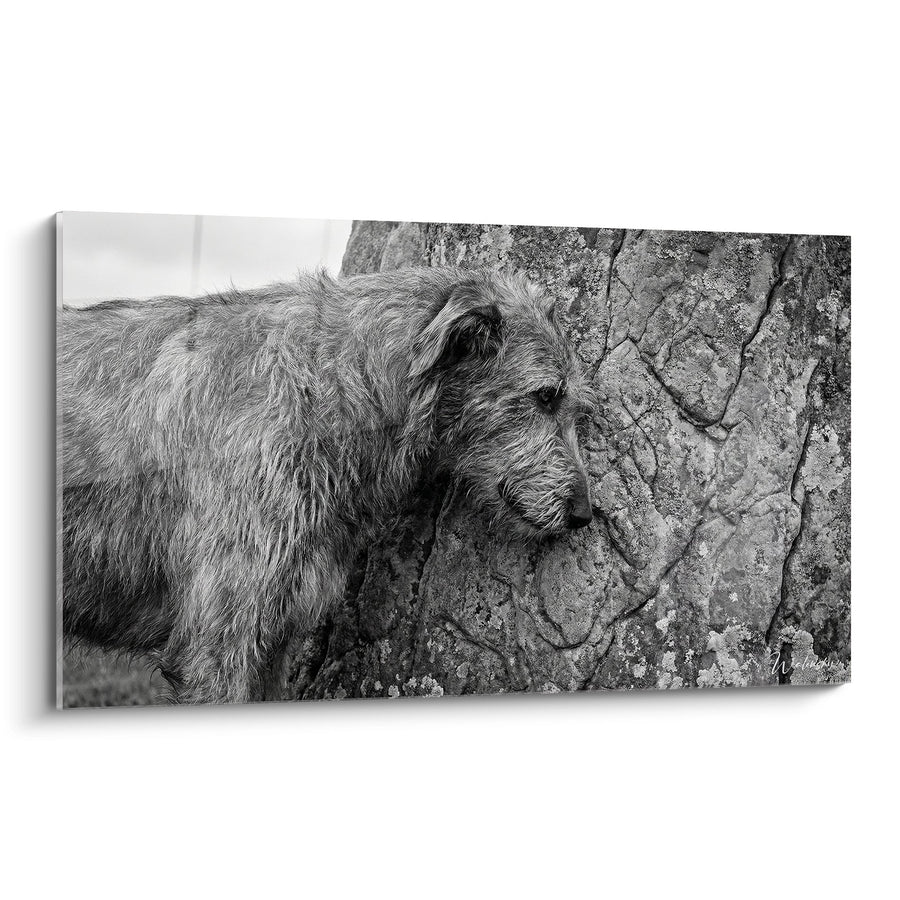 Tableau Irish Wolfhound aux Poils Ébouriffés Appuyé Contre Roche Crevassée - Puissance Tranquille - Edition Irish Wolfhound