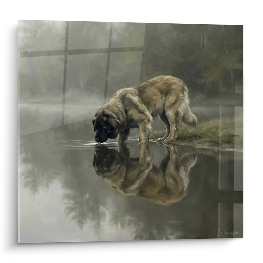 Tableau Chien Leonberg Buvant dans une Flaque - Reflets Urbains - Edition Leonberg