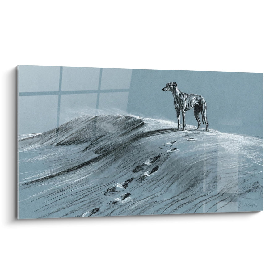 Tableau Lévrier sur Dune Enneigée - Solitude Arctique - Edition Lévrier Greyhound