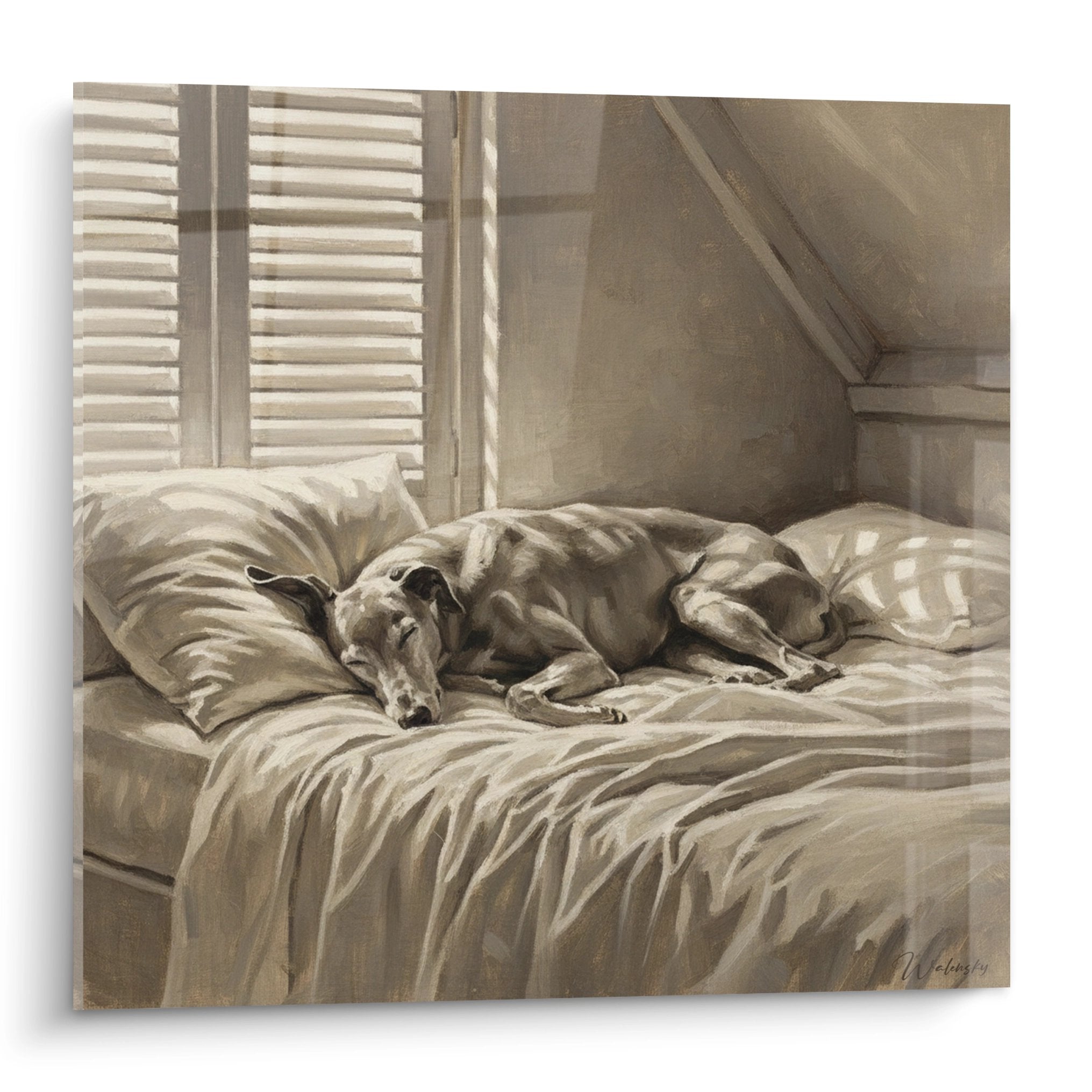 Lévrier Greyhound endormi sur lit défait dans chambre aux tons sépia avec lumière tamisée filtrant par volets