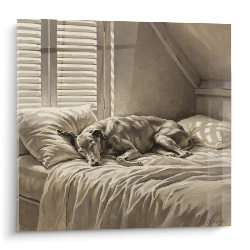 Schlafender Greyhound Windhund auf Bett in Sepia-Tönen - Kontemplative Ruhe - Greyhound Windhund Edition