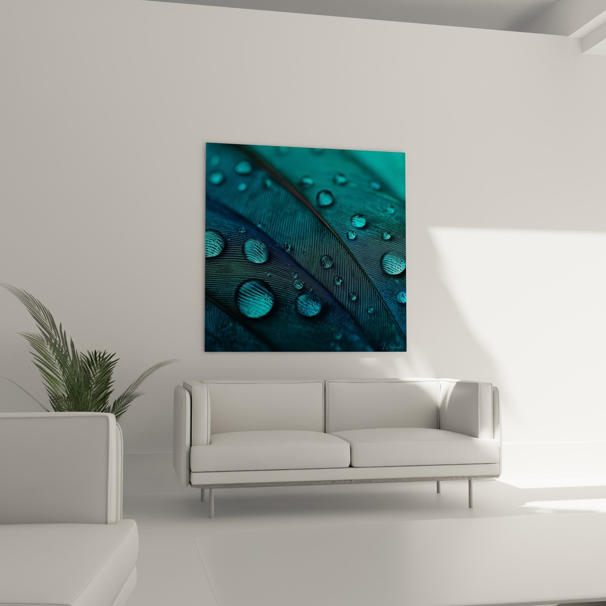 Macro detail blue feather water droplets spherical reflections natural texture wall art