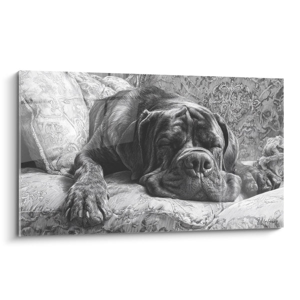 Englischer Mastiff Schlafend auf Blumenmuster Sofa - Ruhiger Schlaf - Edition Englischer Mastiff