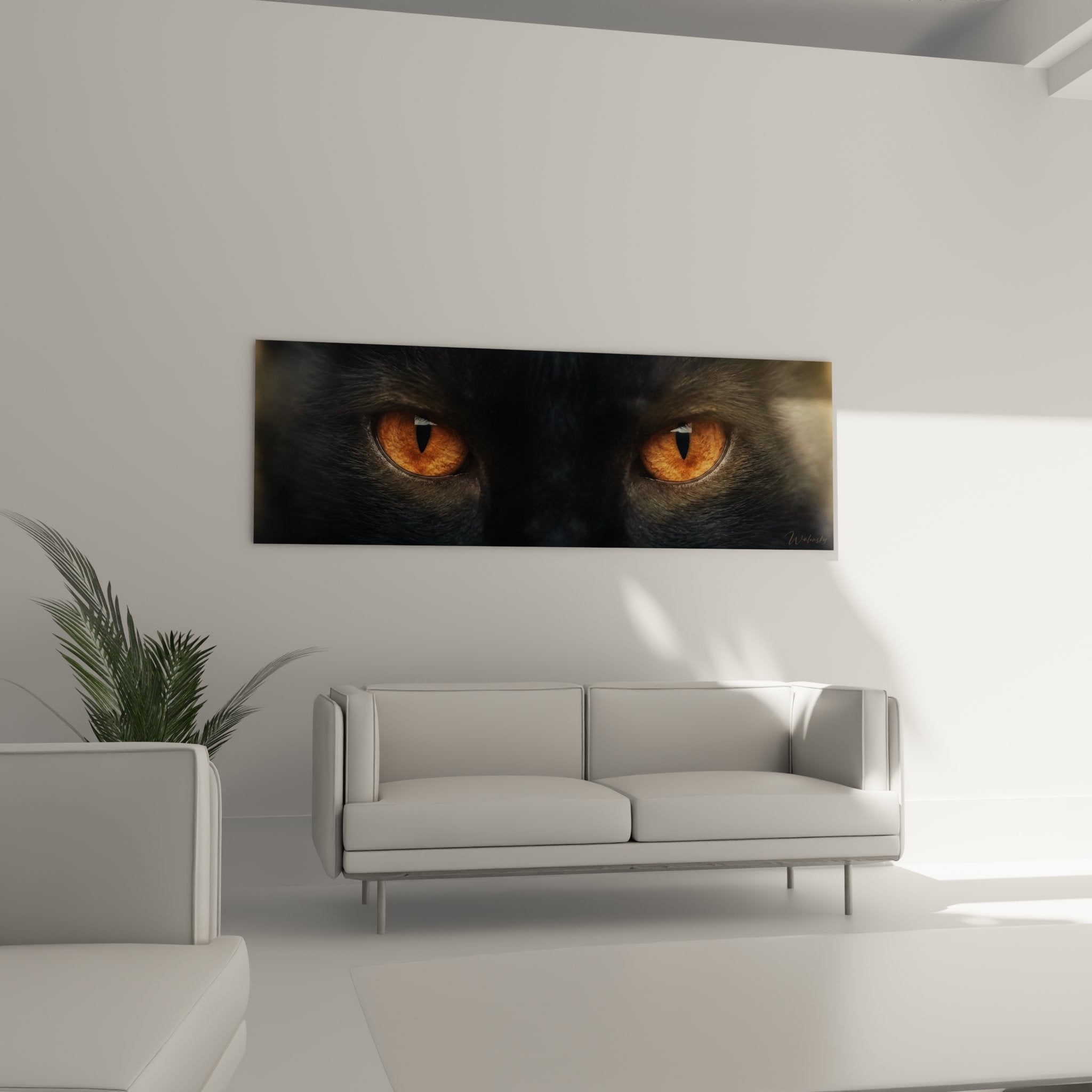 Gros plan yeux chat Bombay iris ambré détaillé reflets lumineux texture pelage noir soyeux