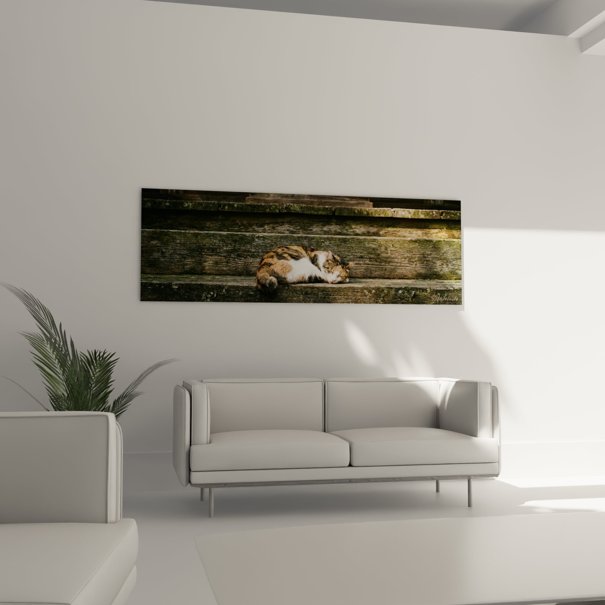 Gros plan tableau chat endormi marches bois detail fourrure tricolore texture rustique patinee