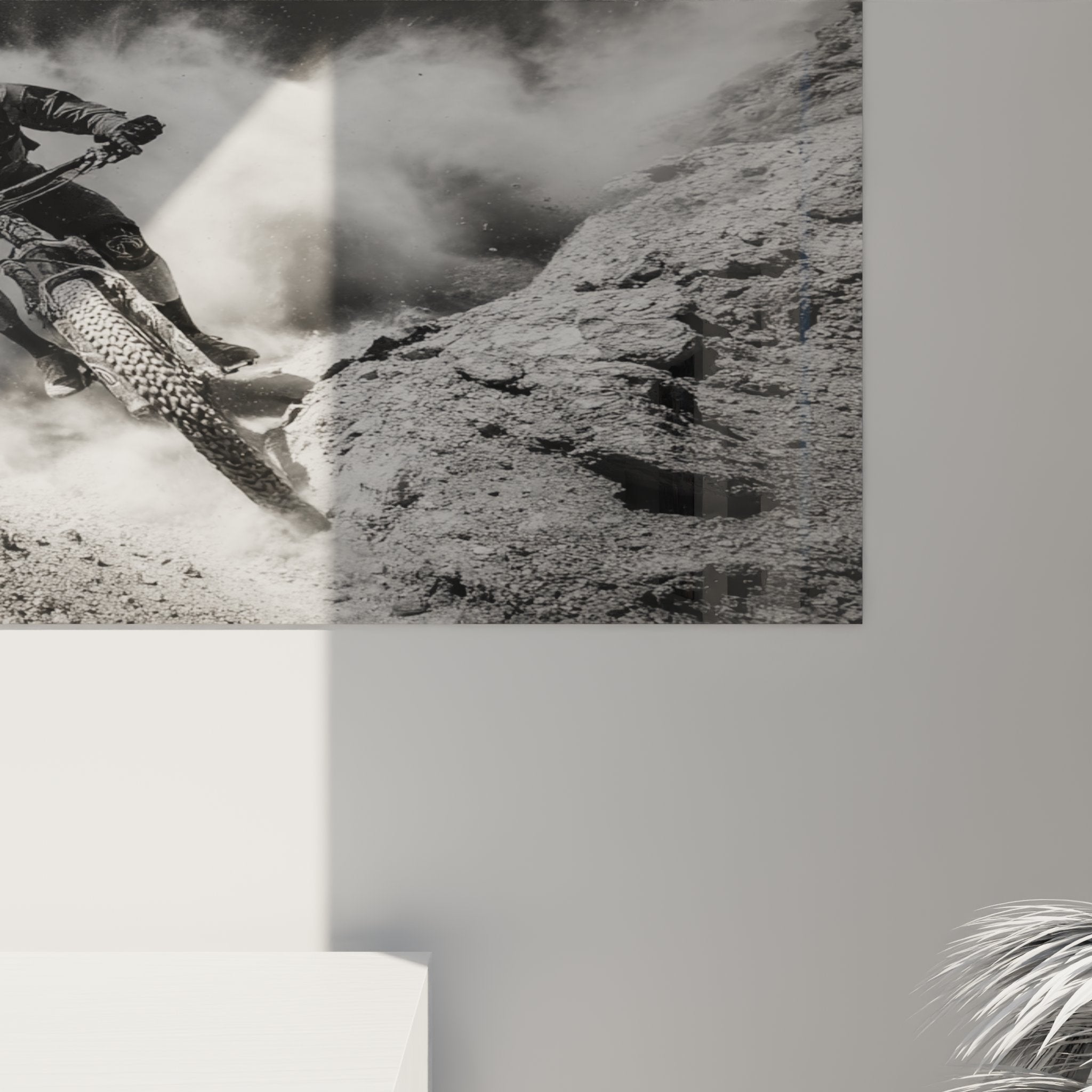 Vue d'ensemble du tableau VTT descente extreme dans un salon moderne avec decoration murale sportive