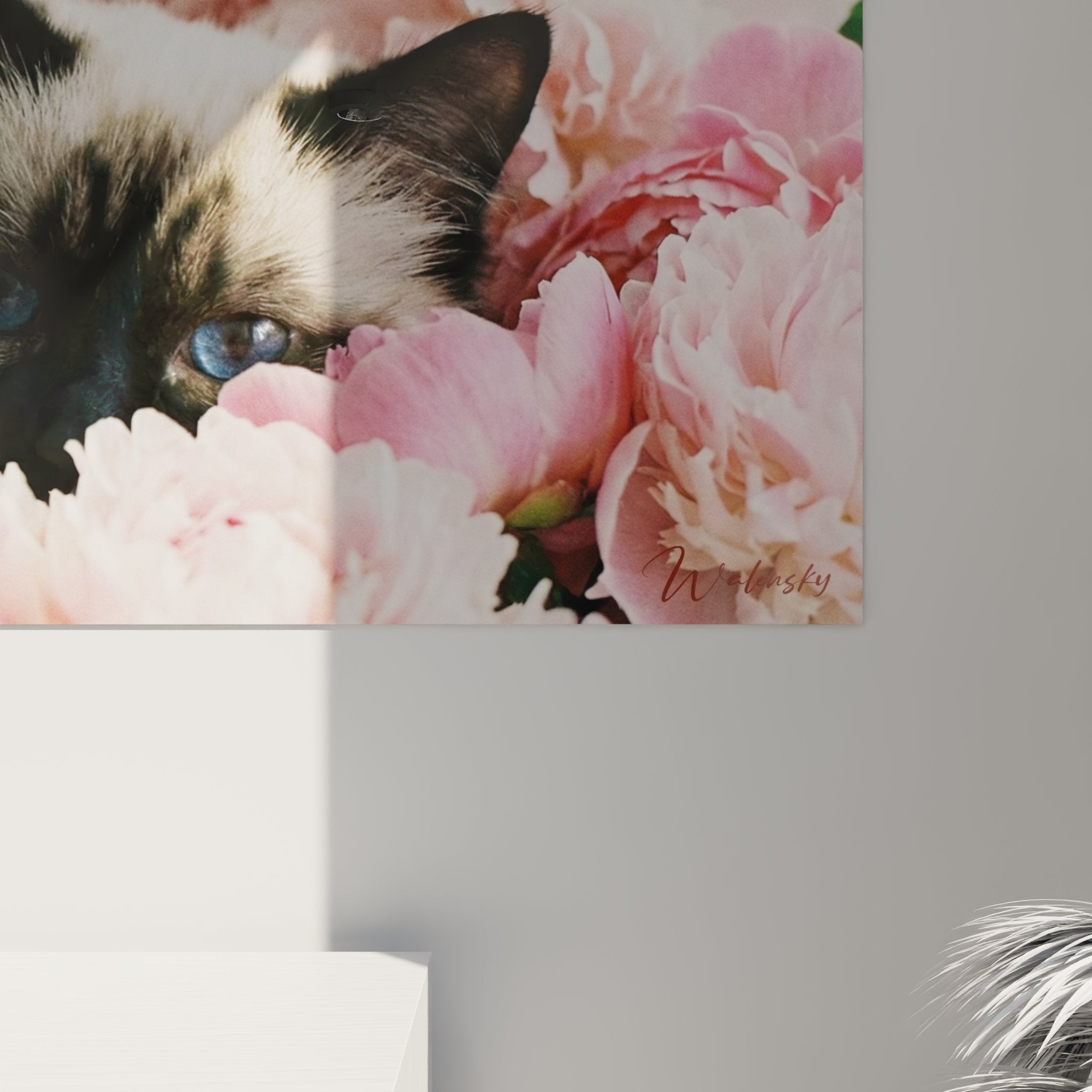 Vue d'ensemble tableau panoramique chat Birman dans jardin de pivoines, palette rose et crème