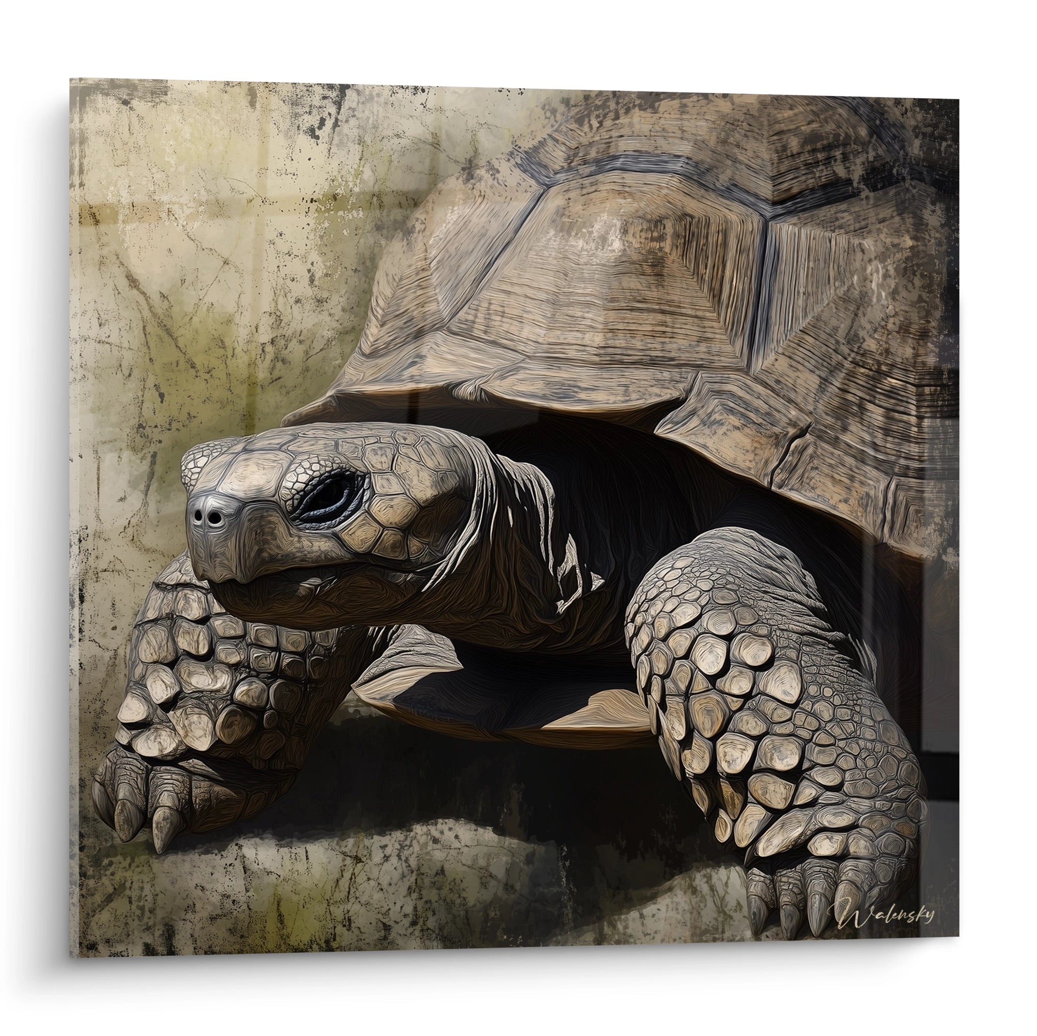 Tableau tortue terrestre artistiquement peint avec détails réalistes signé Walensky