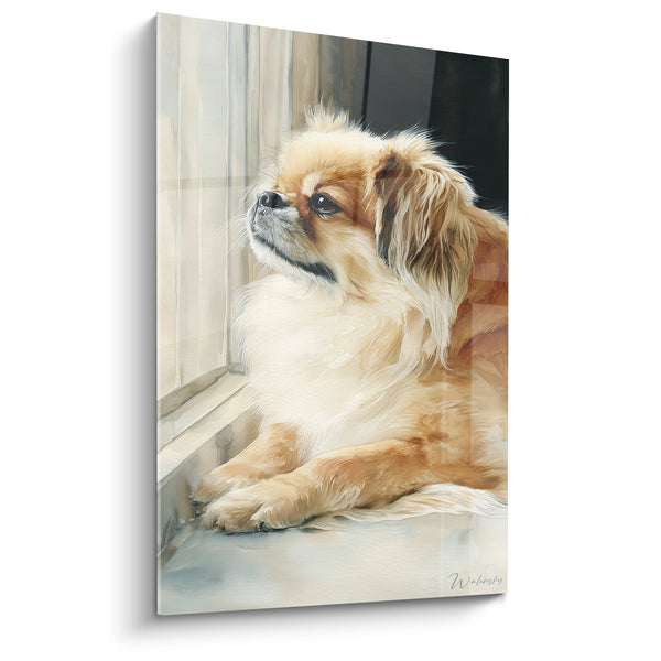 Cuadro de Pekinés Dorado Cerca de la Ventana - Contemplación Silenciosa - Edición Pekinés