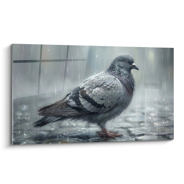 Tableau Pigeon Gris sous la Pluie Urbaine - Mélancolie Citadine - Edition Pigeon