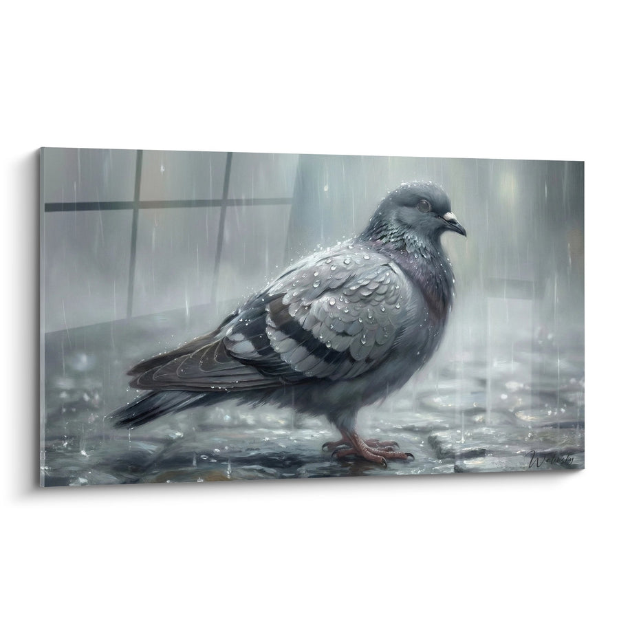 Tableau Pigeon Gris sous la Pluie Urbaine - Mélancolie Citadine - Edition Pigeon