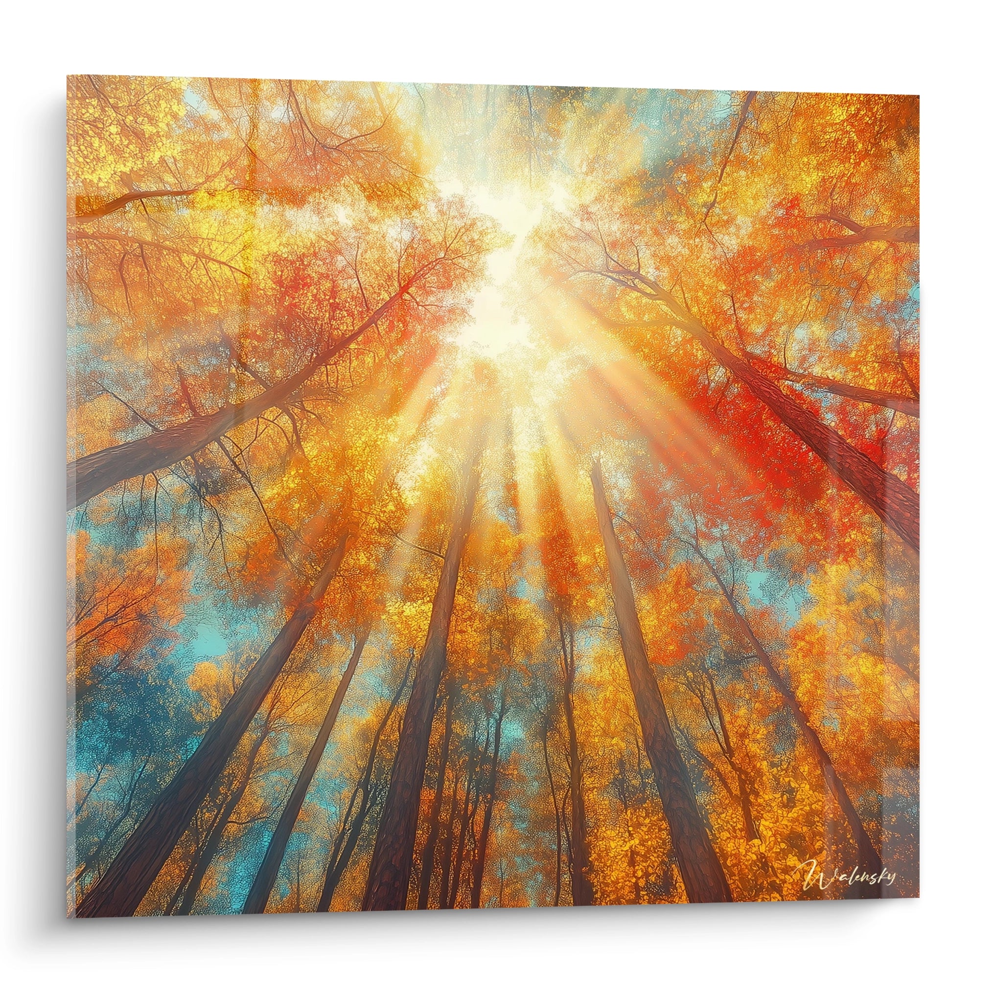 Tableau forêt Walensky vue en contre-plongée des arbres avec lumière solaire et feuillage automnal orange